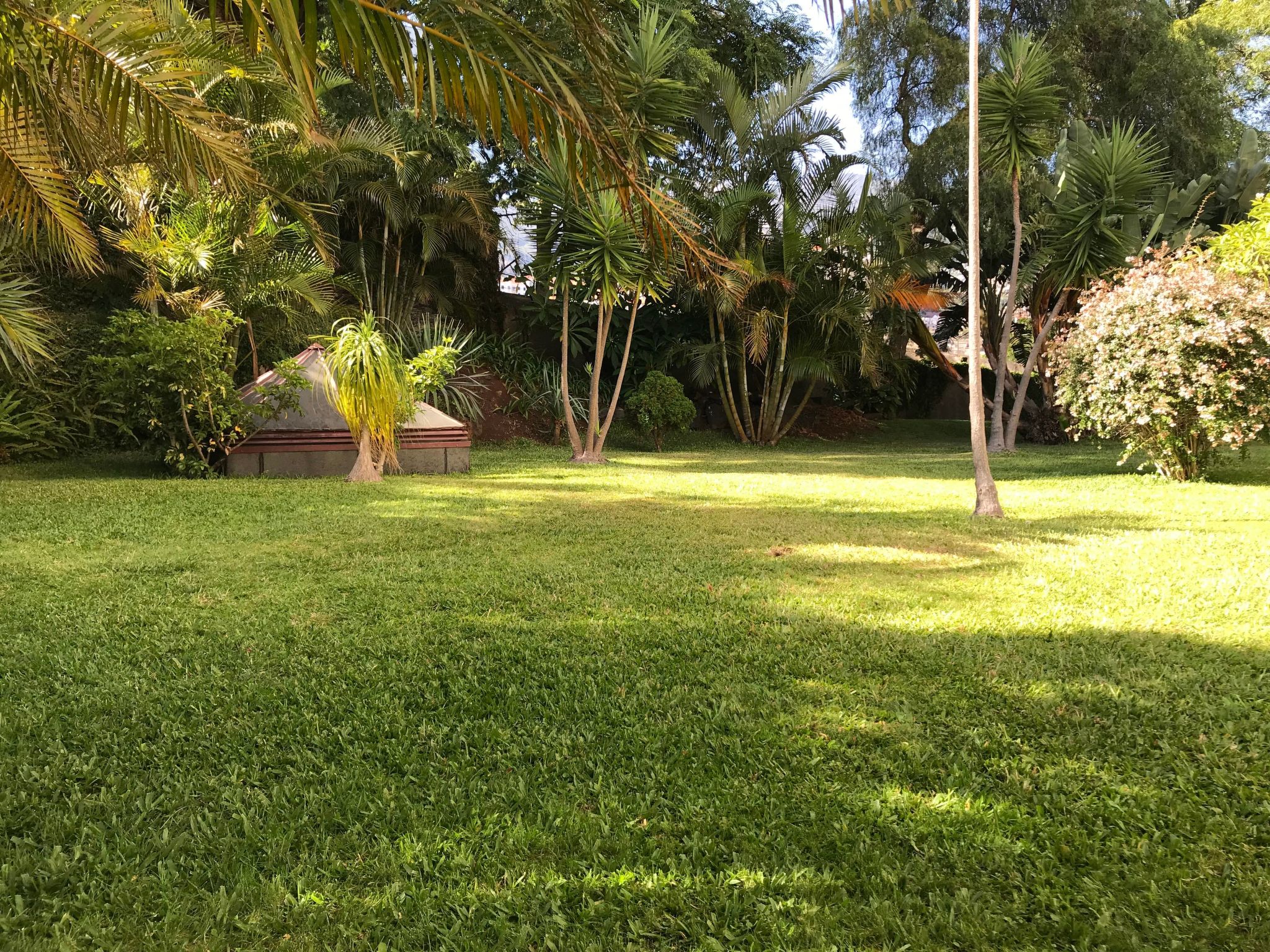 Funchal Wohnung mit Pool-Inside