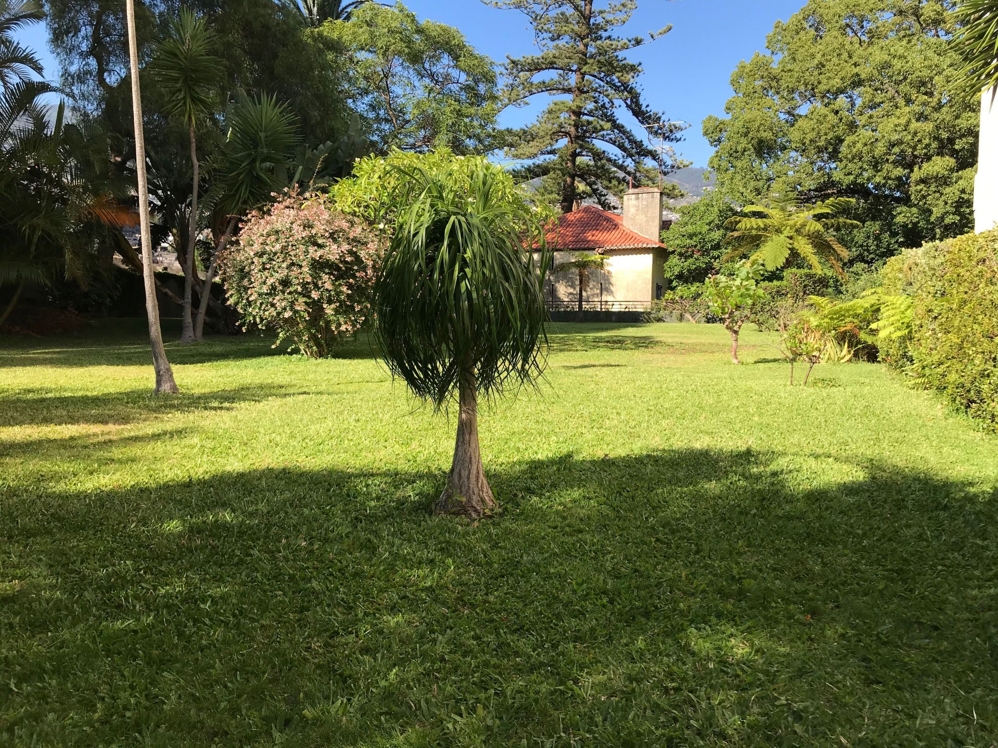 Funchal Wohnung mit Pool-Inside