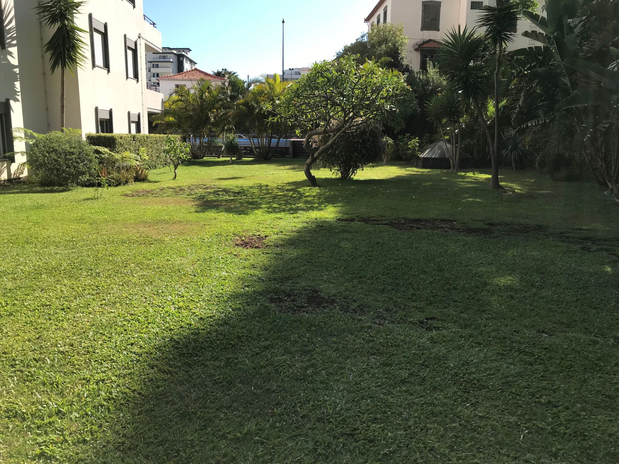 Funchal Wohnung mit Pool-Inside