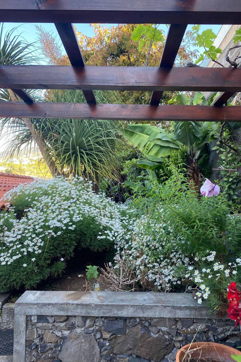 Ideales Familienhaus mit freiem Stadt- und Meerblick-Inside