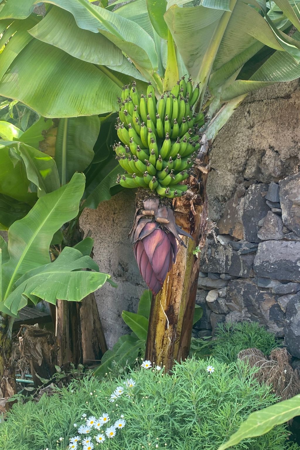Ideales Familienhaus mit freiem Stadt- und Meerblick-Inside