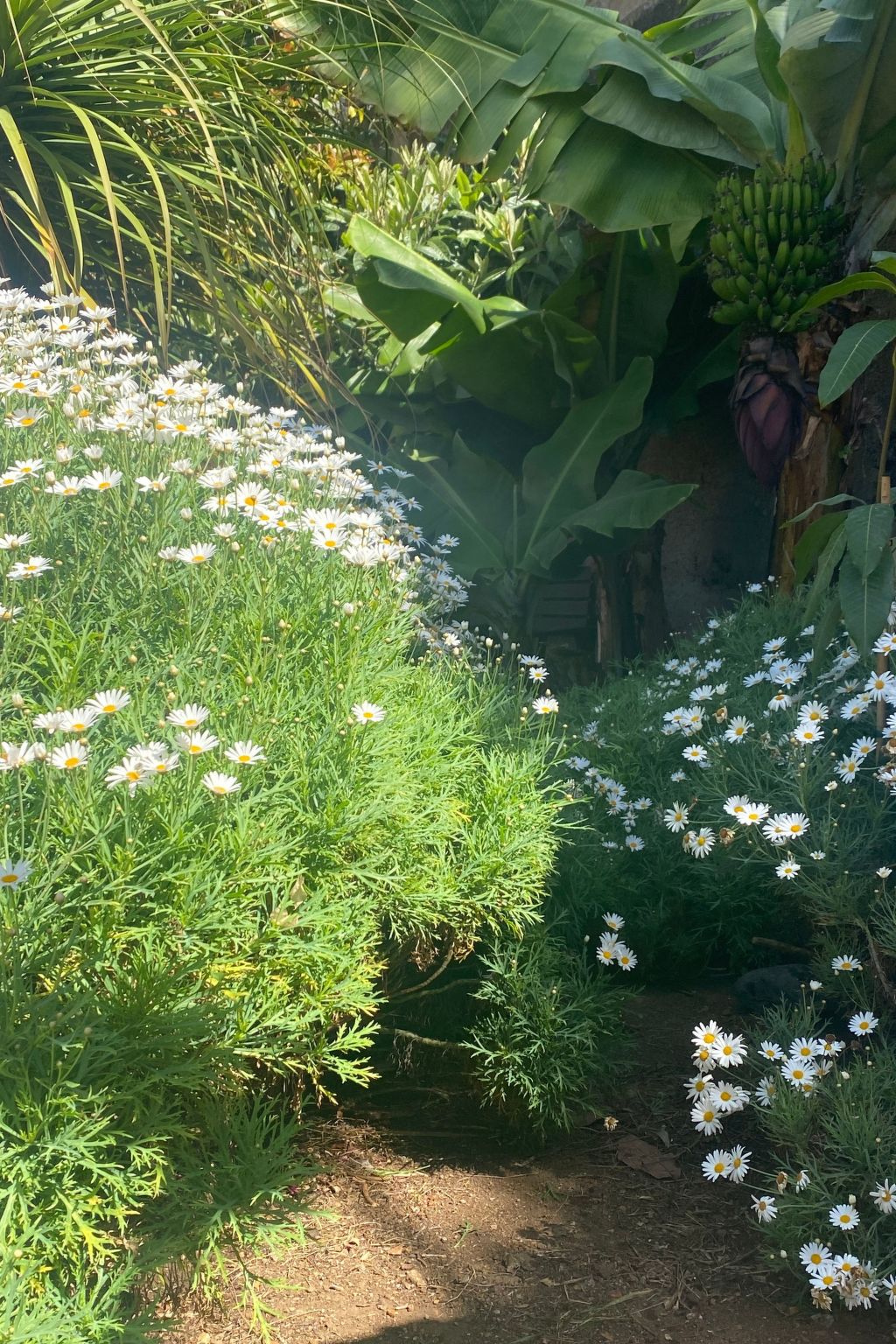 Ideales Familienhaus mit freiem Stadt- und Meerblick-Inside