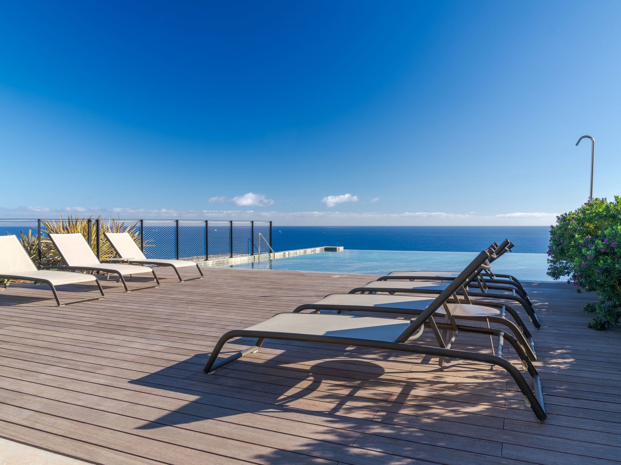 RJS Savoy Monumentalis-Image-tags.info