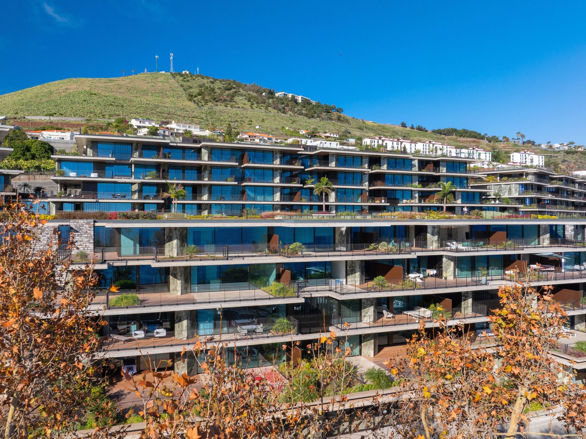 Photo of RJS Savoy Monumentalis