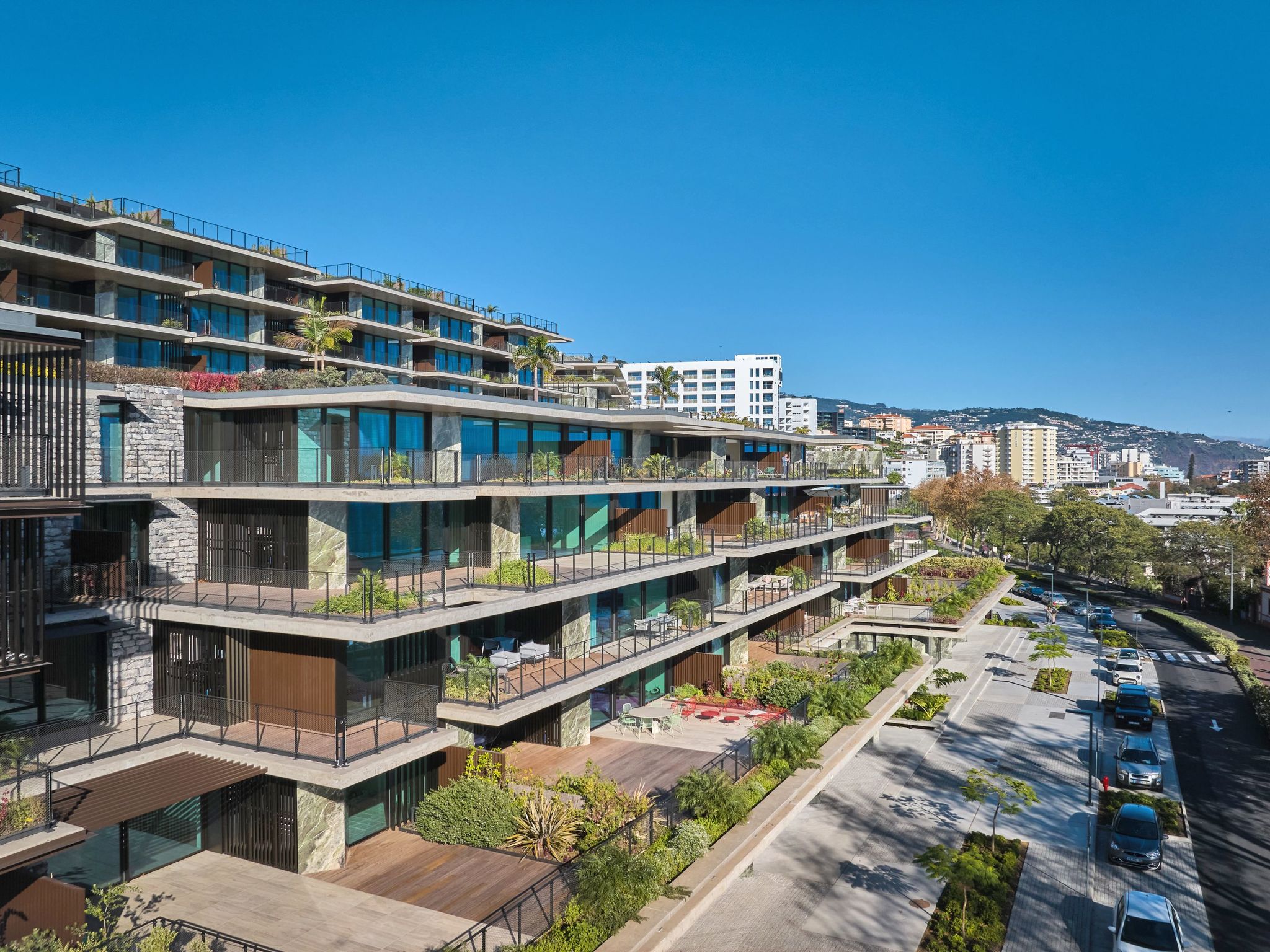 Photo of RJS Savoy Monumentalis