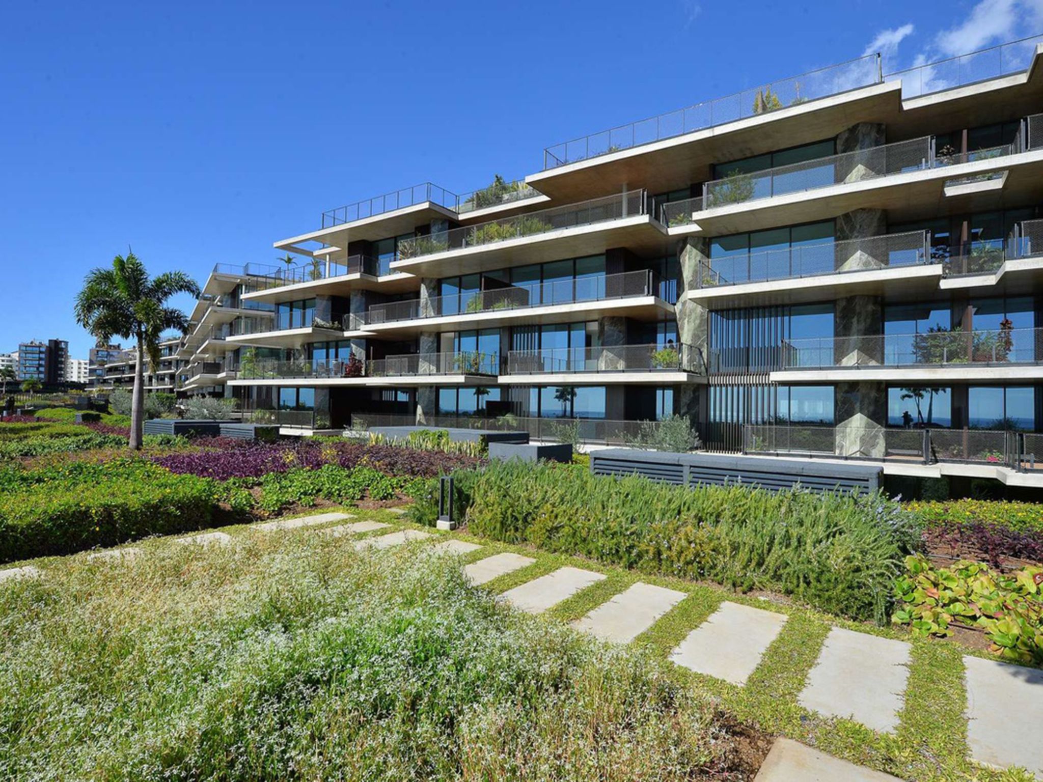 Photo of RJS Savoy Monumentalis