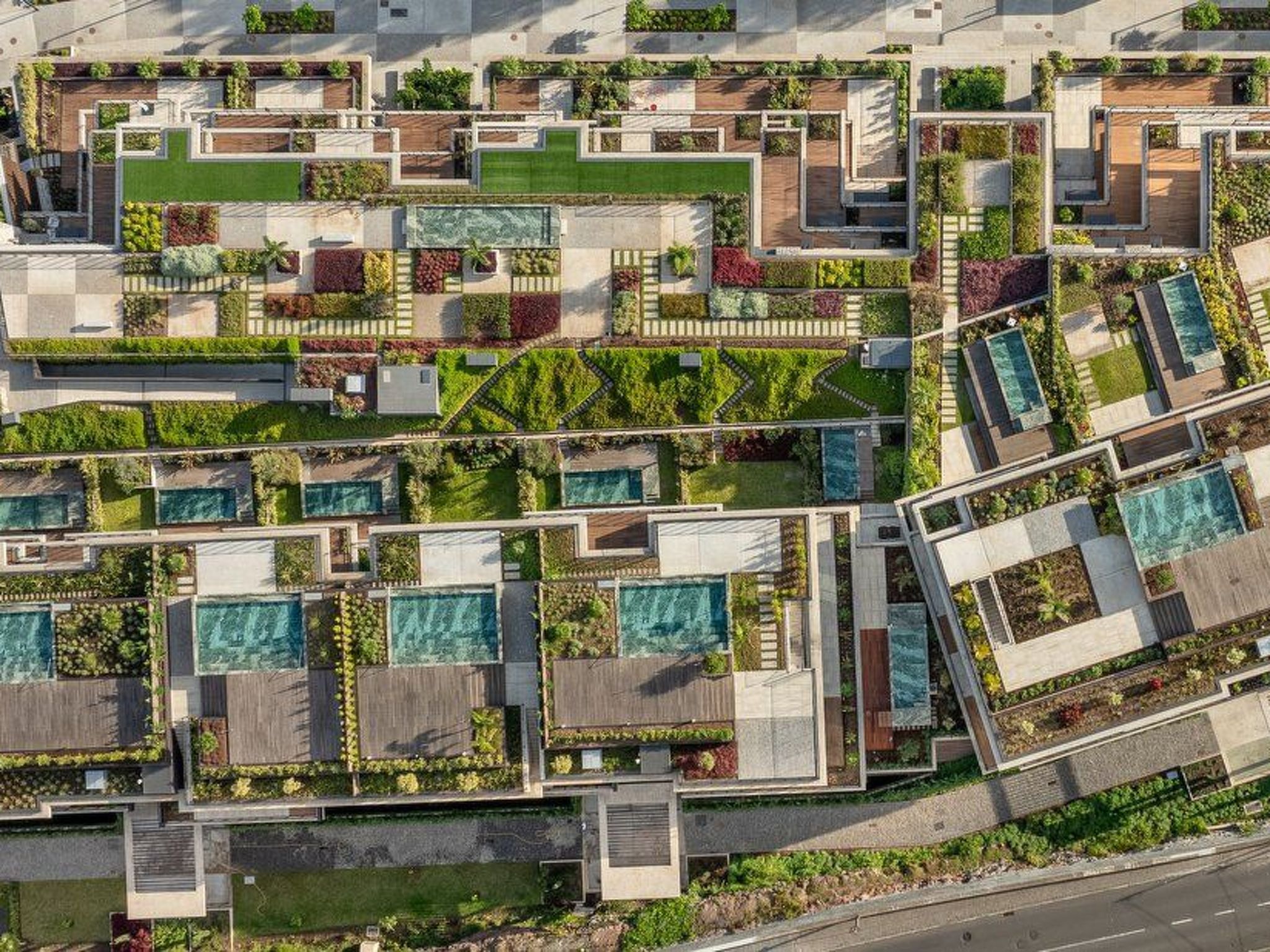 Photo of RJS Savoy Monumentalis