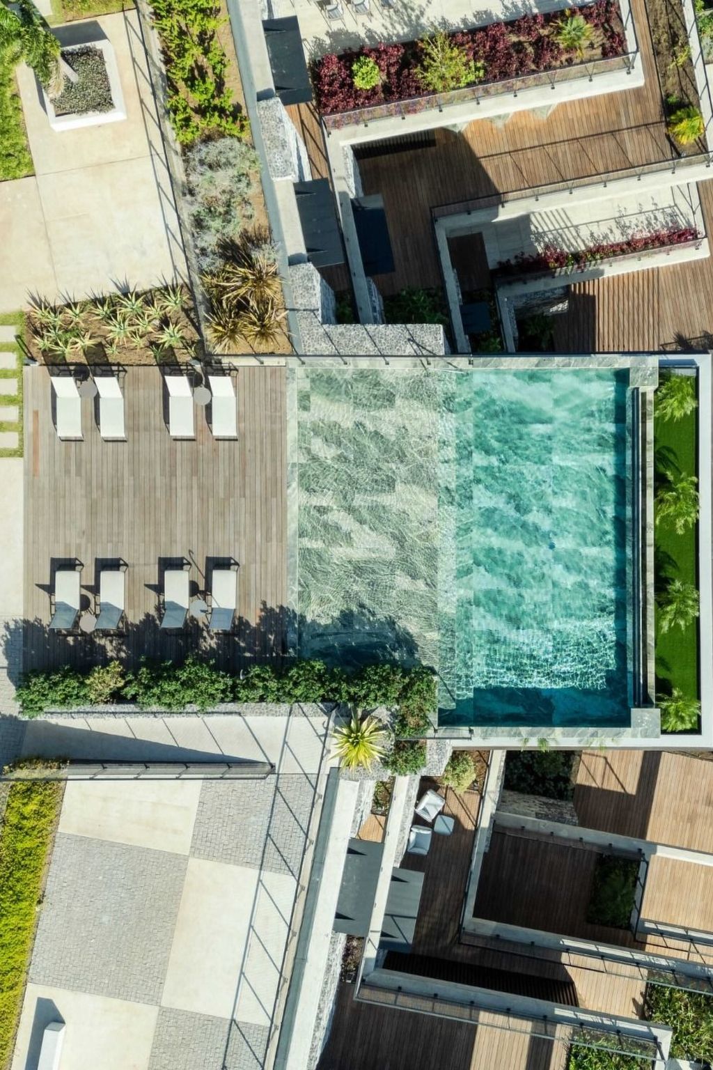 Photo of RJS Savoy Monumentalis