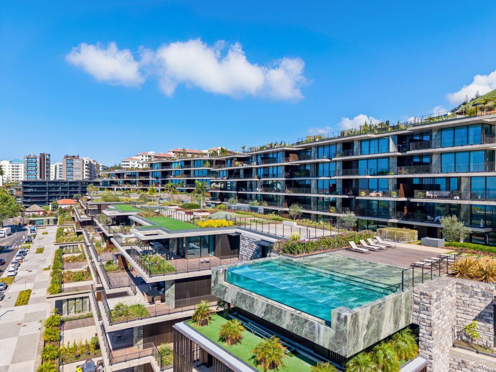 Photo of RJS Savoy Monumentalis