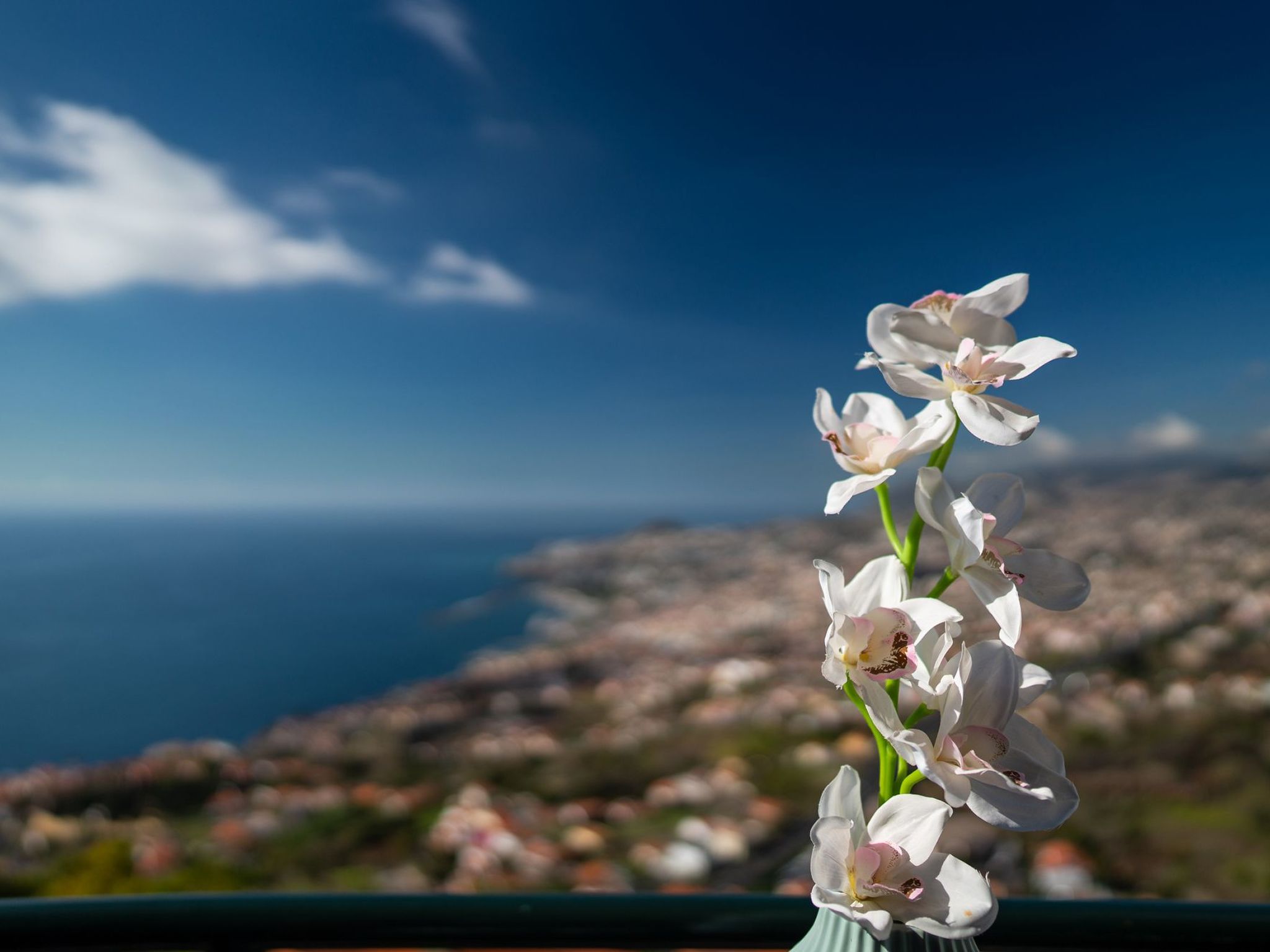 Photo of Atlantischer Ozean Wohnung