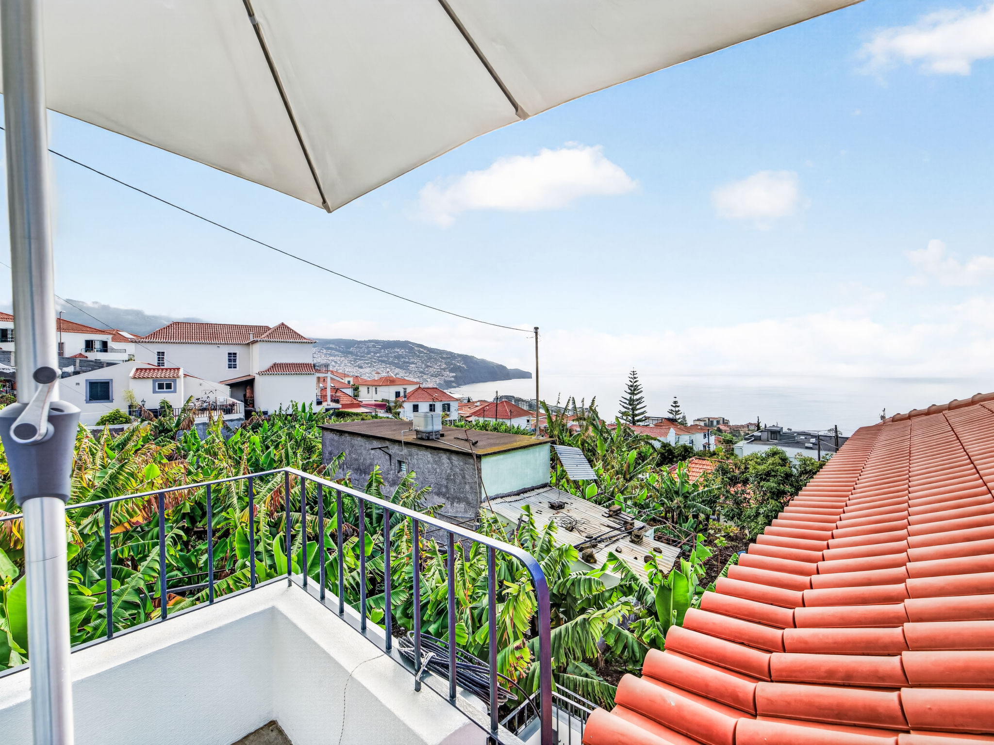 Panoramic Studio View
