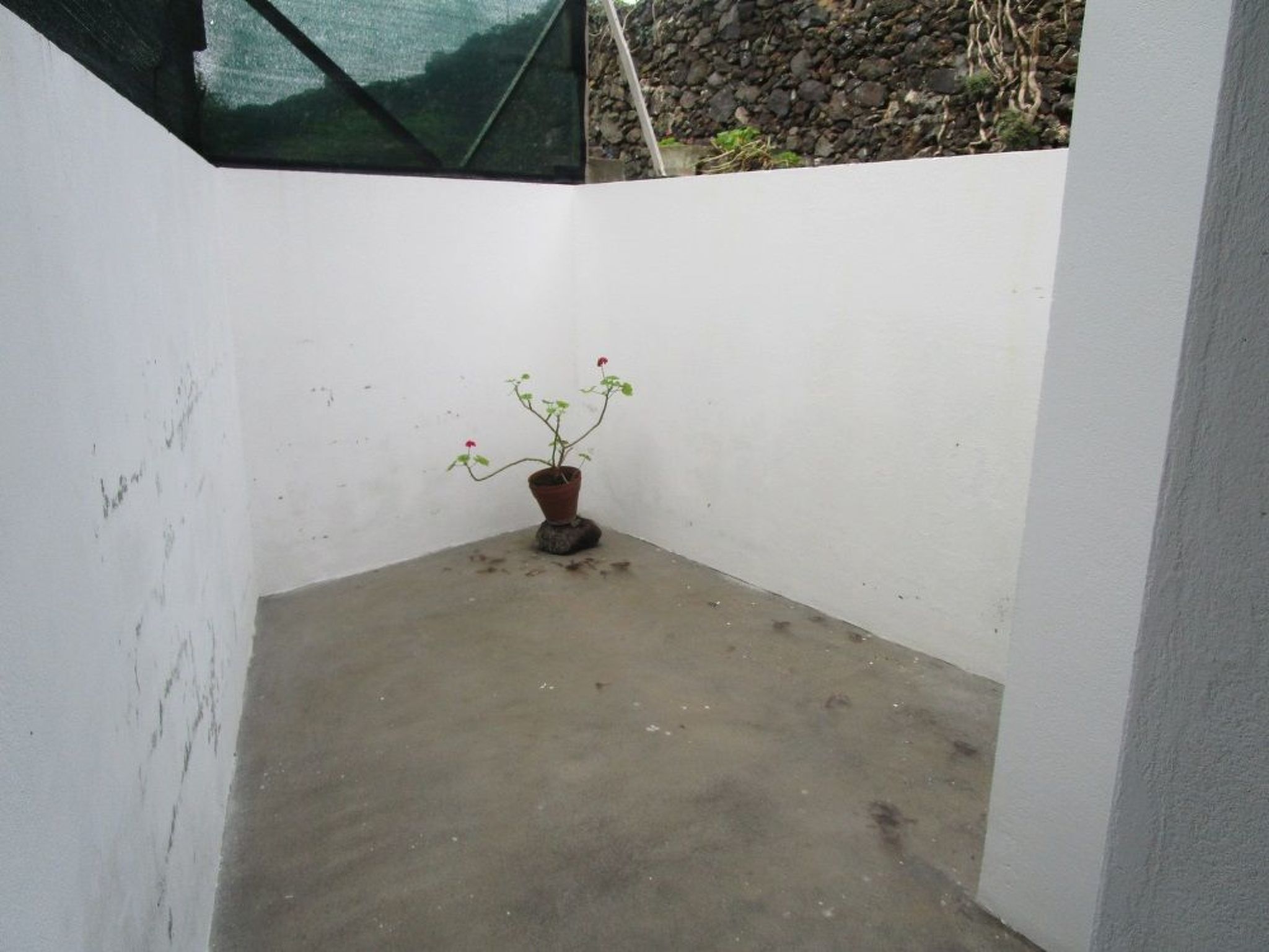 Strand und Natur auf den Azoren-Image-tags.info