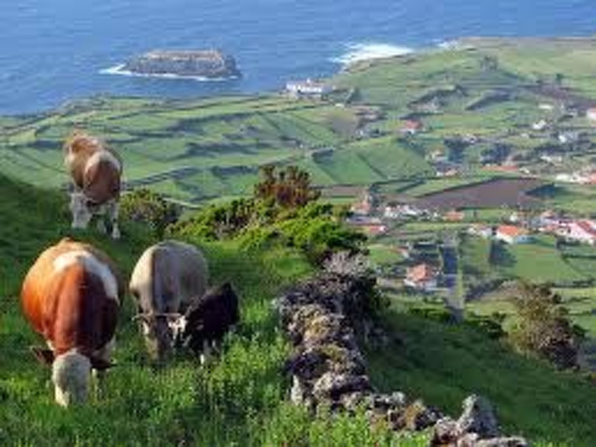 Strand und Natur auf den Azoren-Image-tags.info