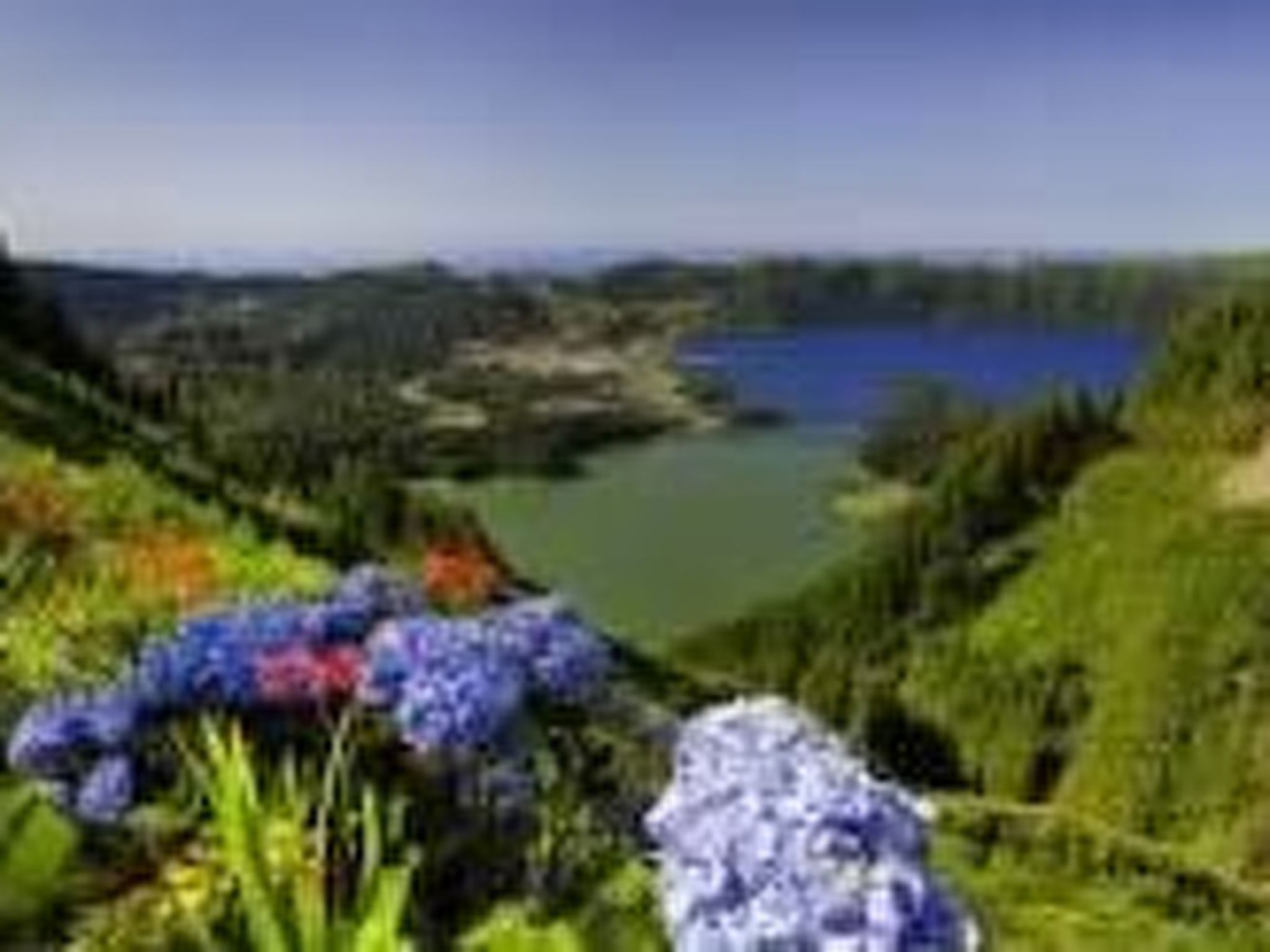 Strand und Natur auf den Azoren-Image-tags.info