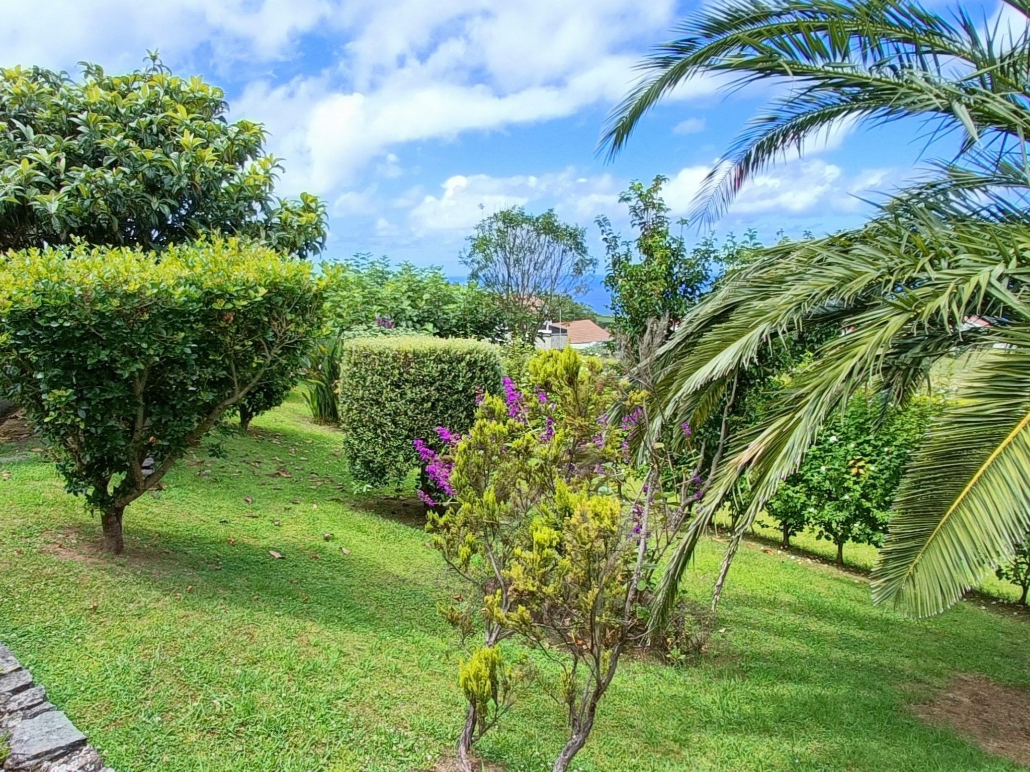 Casa da Talha, Rustikaler Charme auf den Azoren-Binnen