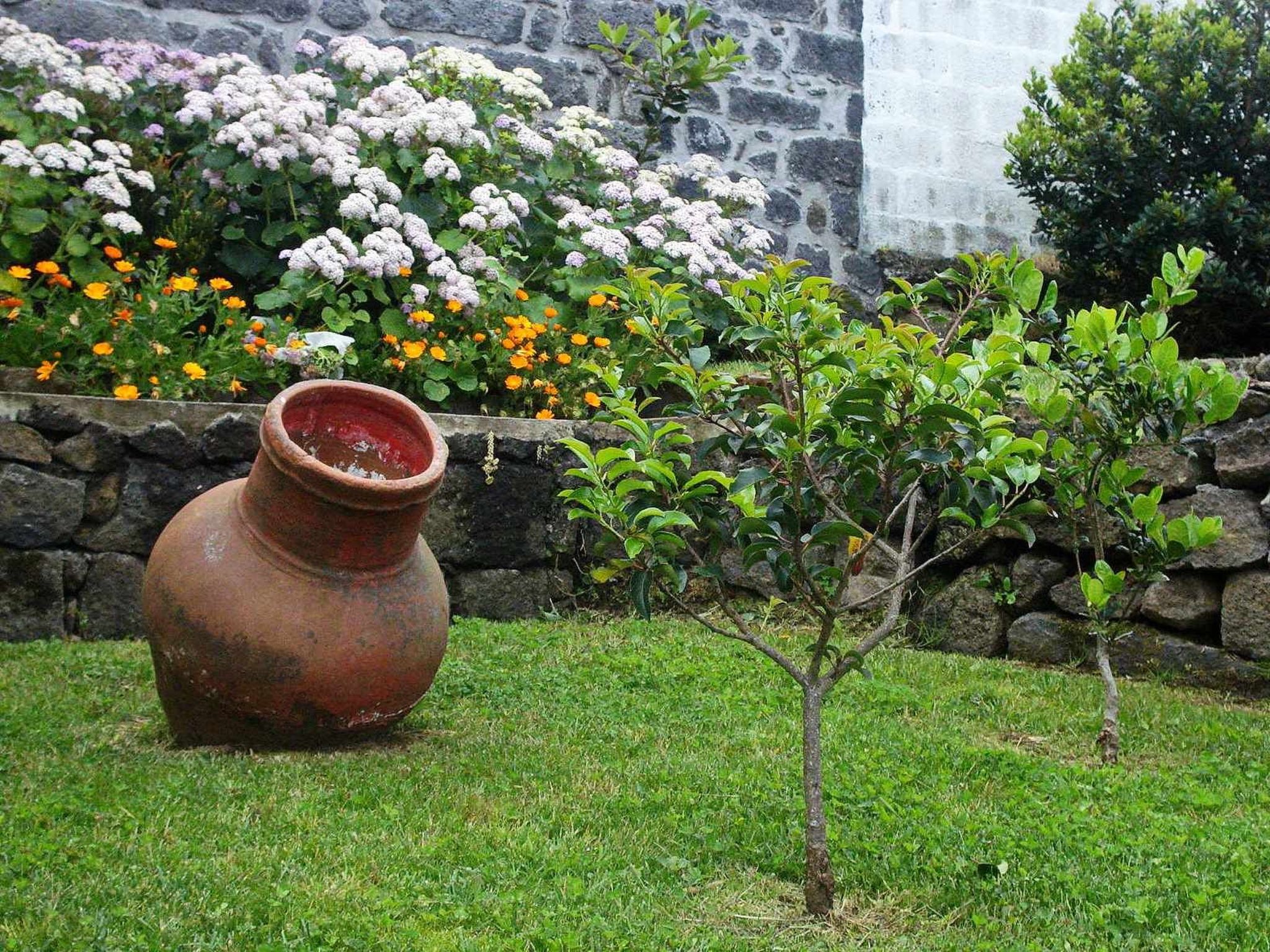 Casa da Talha, Rustikaler Charme auf den Azoren-Binnen