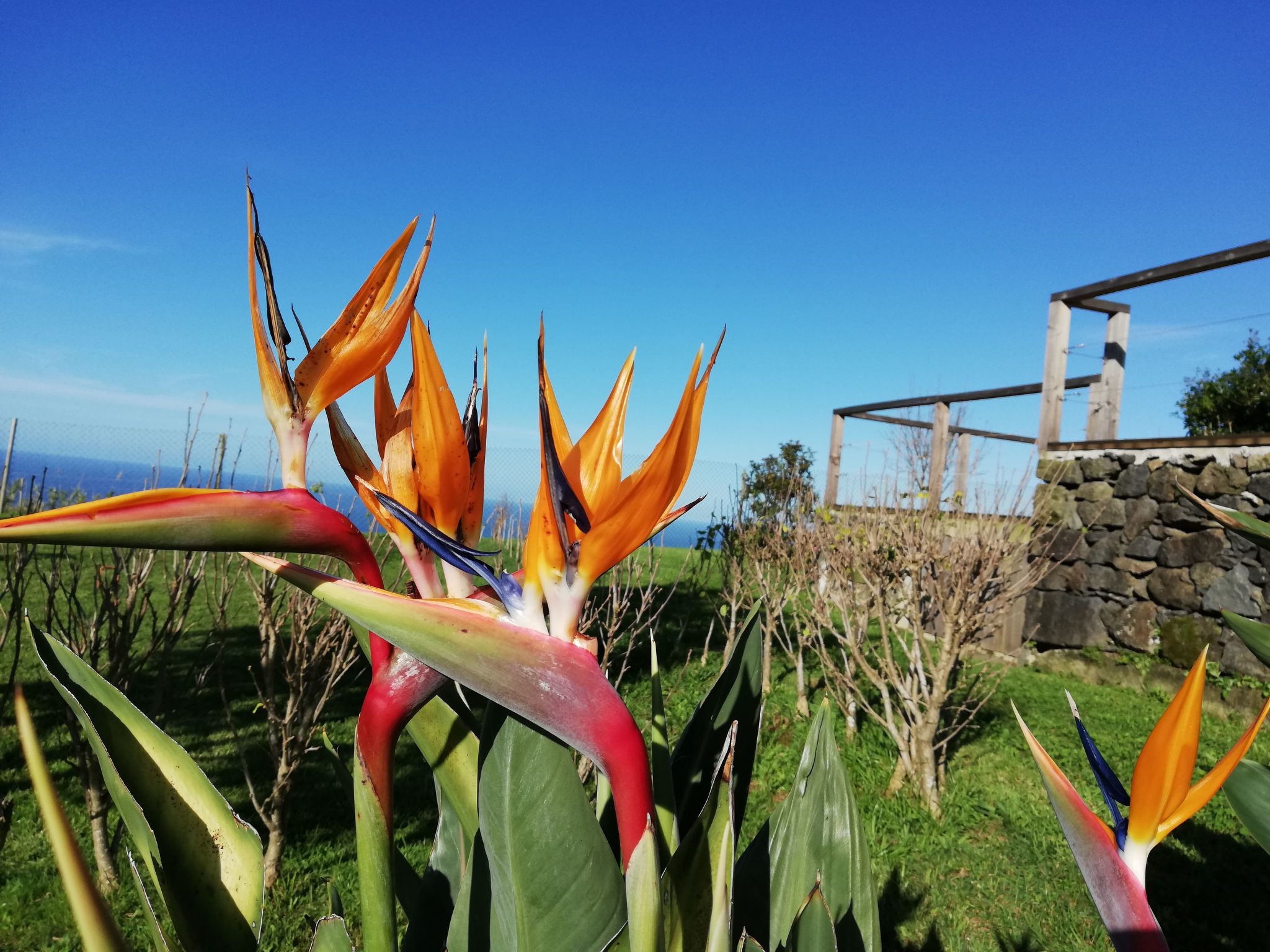 Tradicampo-Casa do Tanque-Binnen