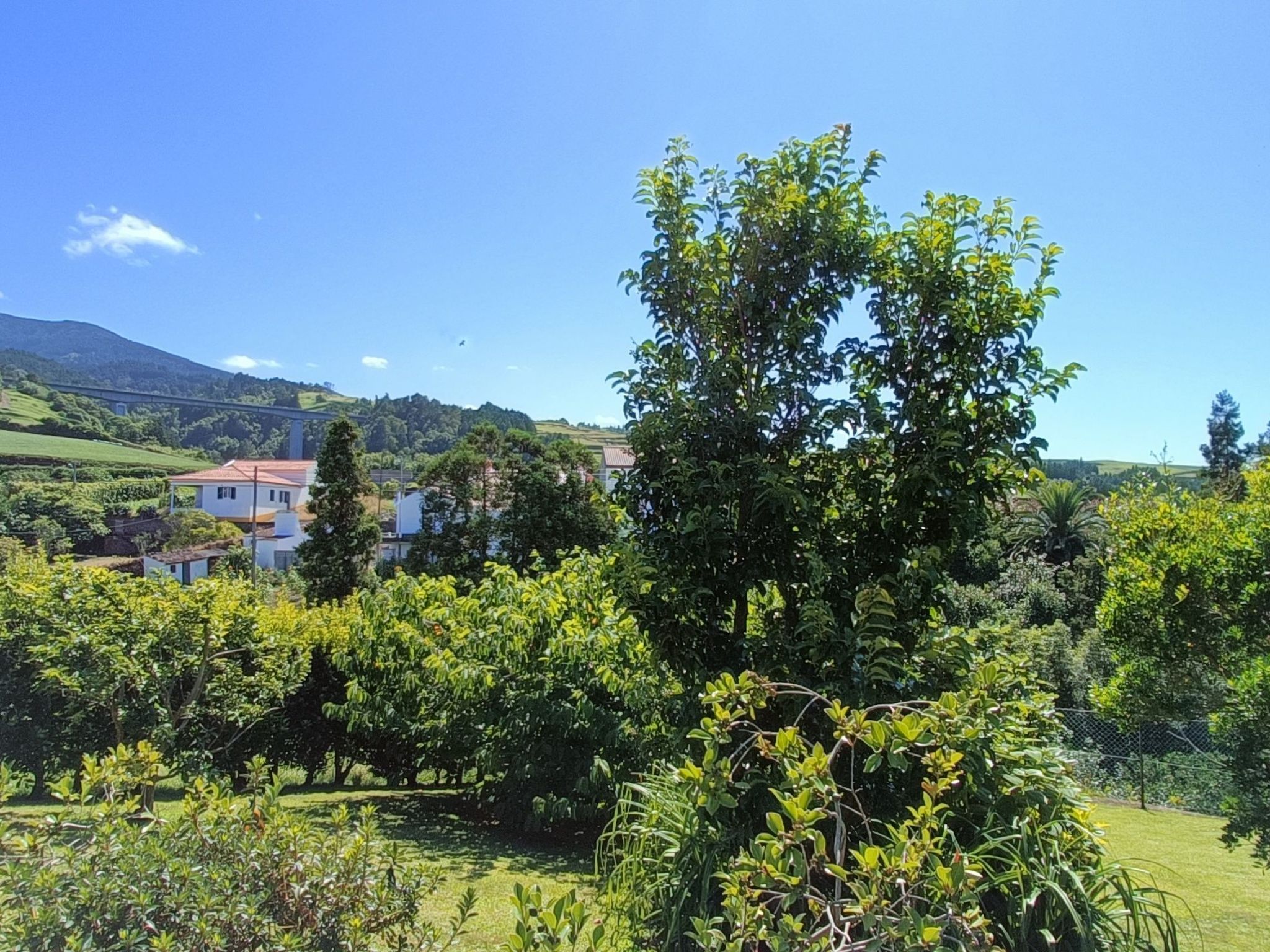 Tradicampo-Casa do Tanque-Binnen