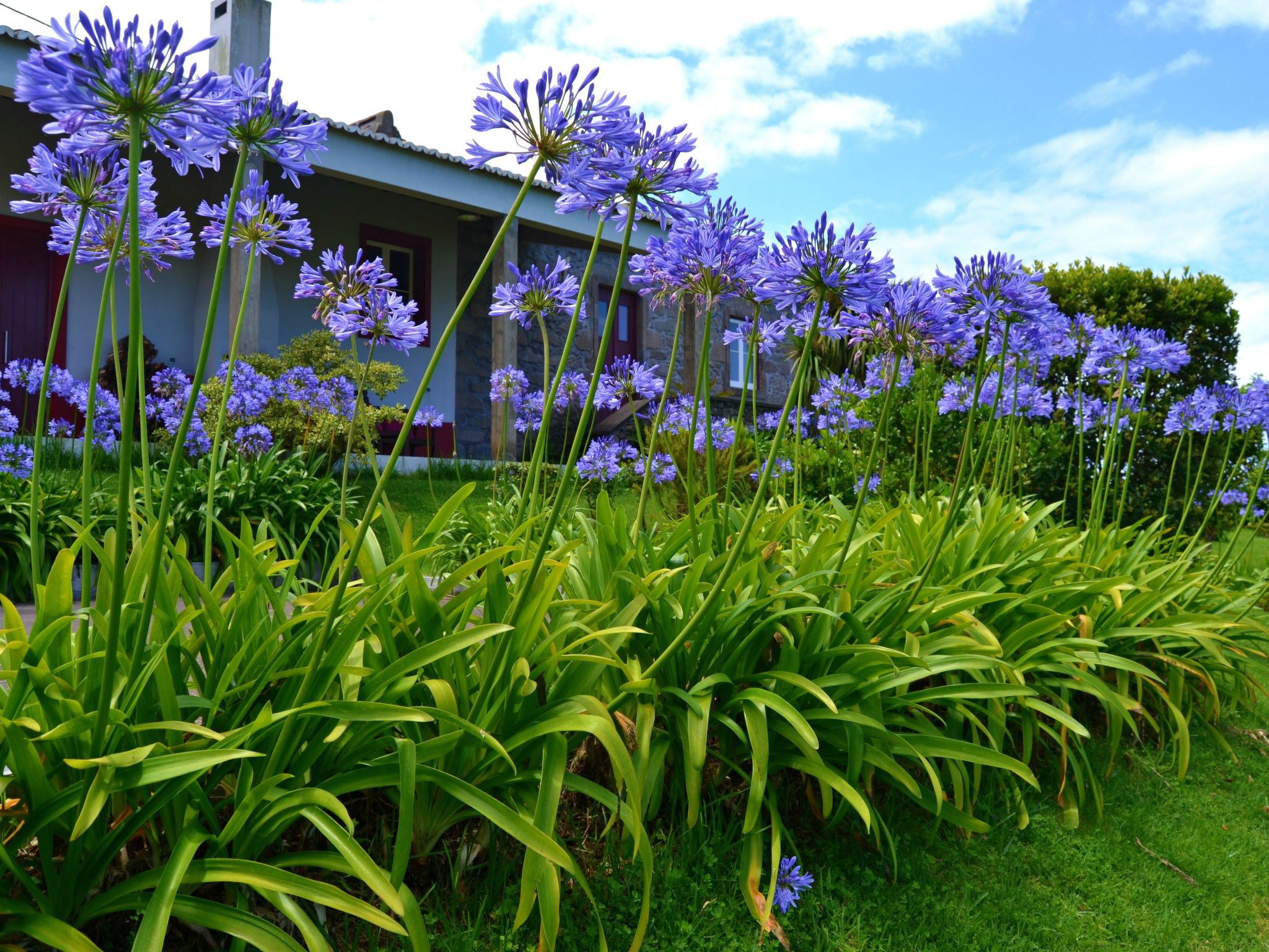 Casa da Fonte - Historisches Steinhaus auf den Azoren-Binnen