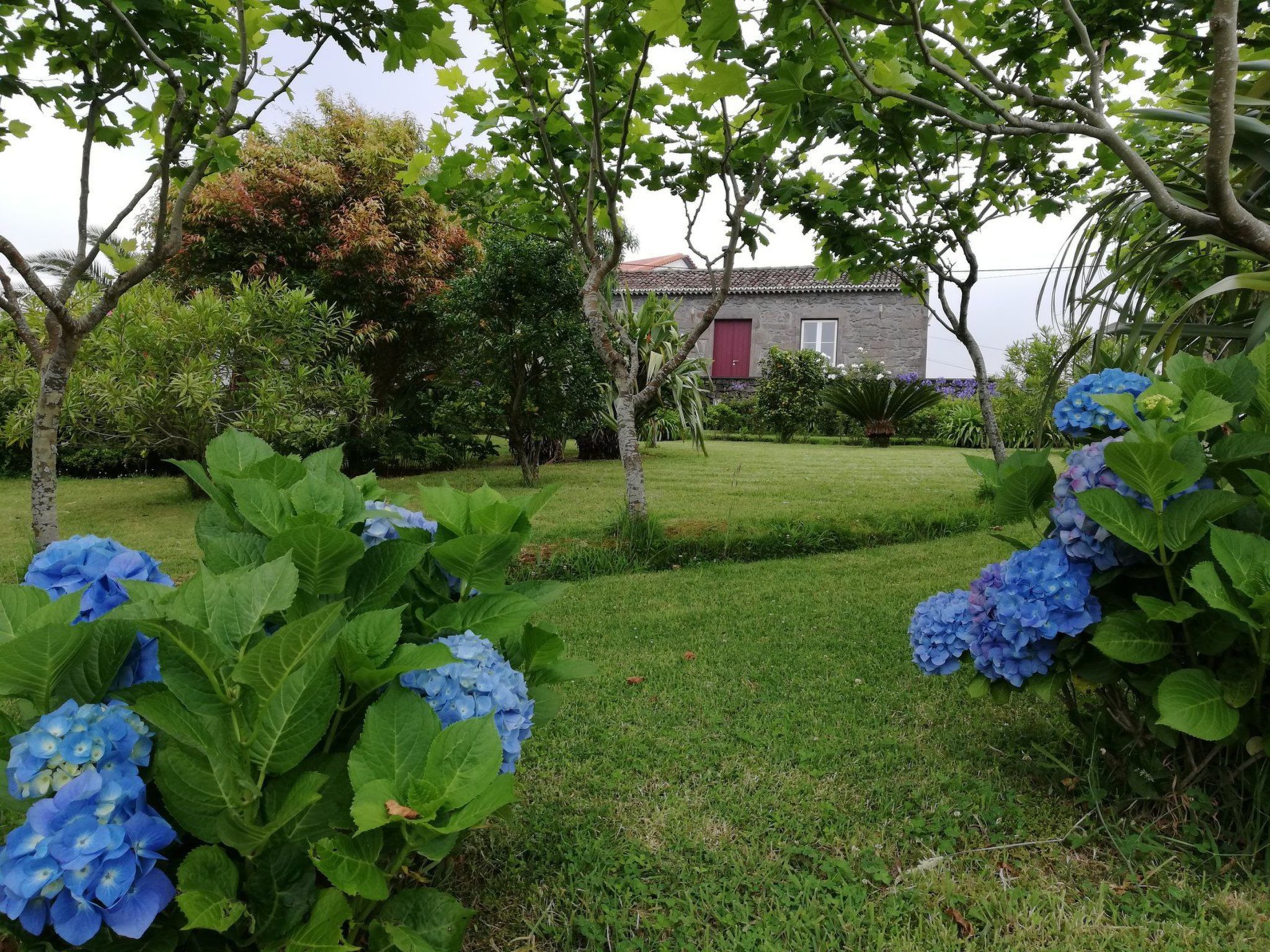 Casa da Fonte - Historisches Steinhaus auf den Azoren-Binnen