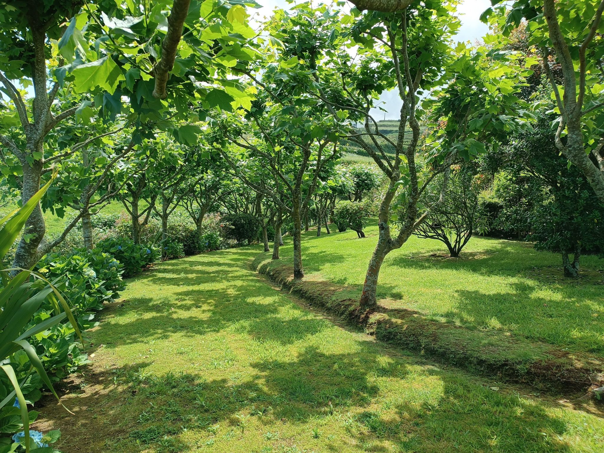 Casa da Fonte - Historisches Steinhaus auf den Azoren-Binnen