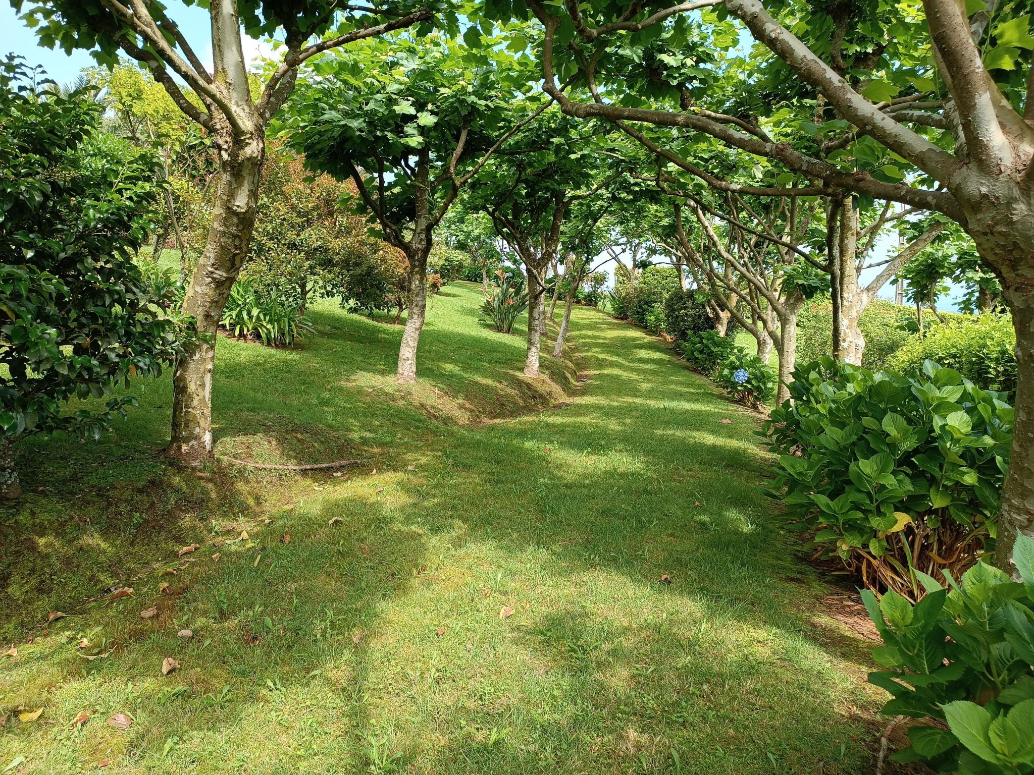 Casa da Fonte - Historisches Steinhaus auf den Azoren-Binnen