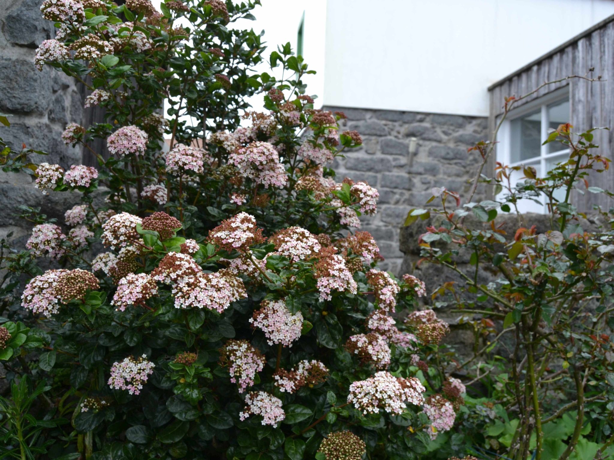 Tradicampo-Ferienhaus A Arribana