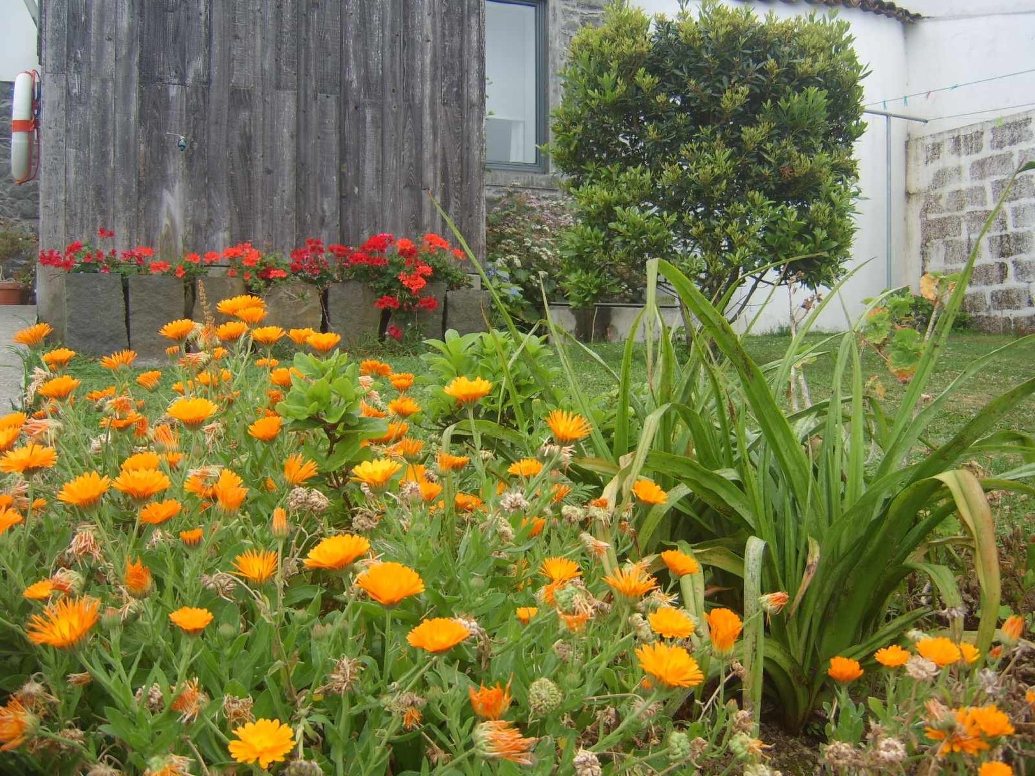 Tradicampo-Ferienhaus A Arribana