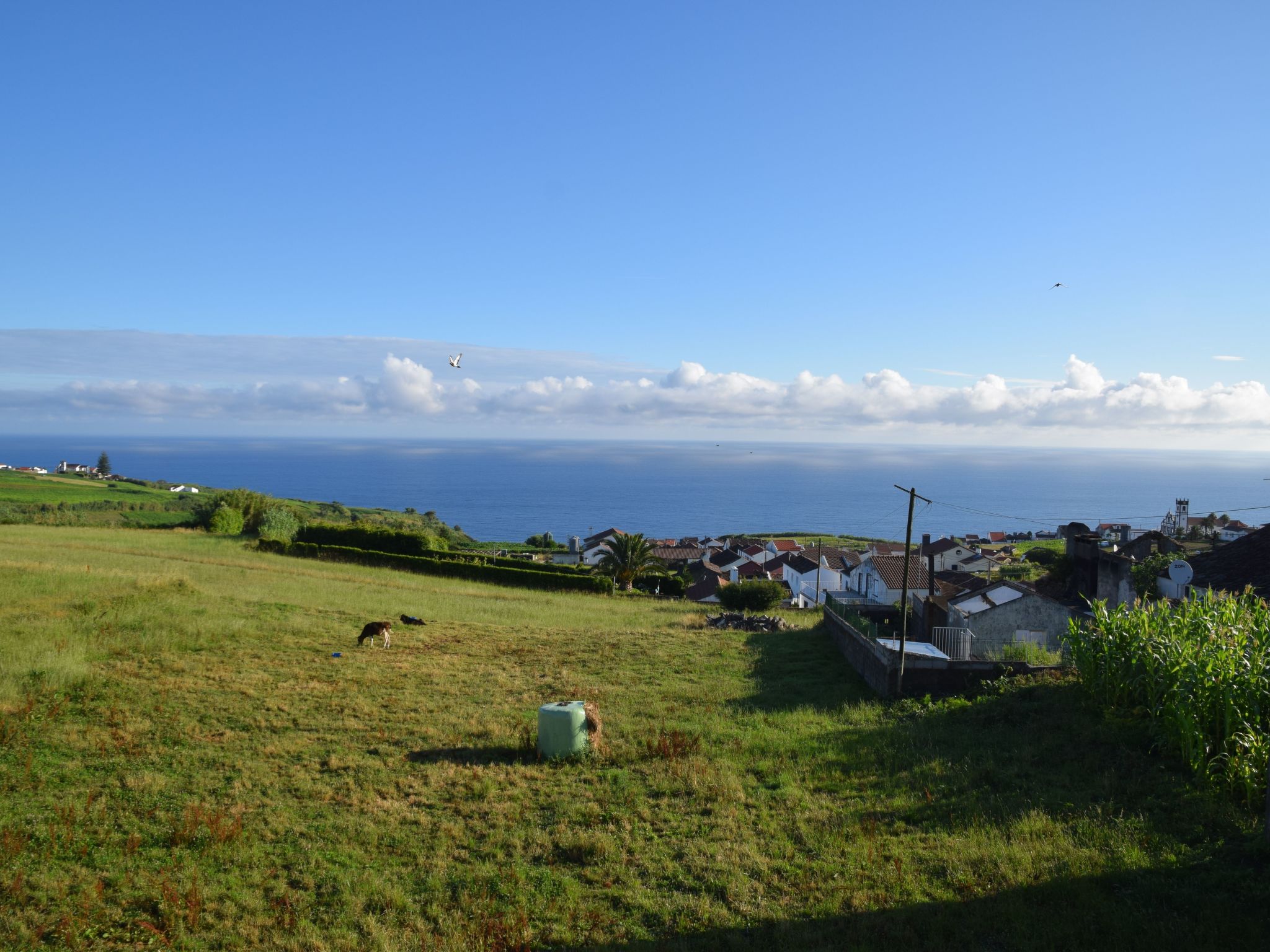 Tolles Ferienhaus in Santana mit Großer Terrasse-Image-tags.info