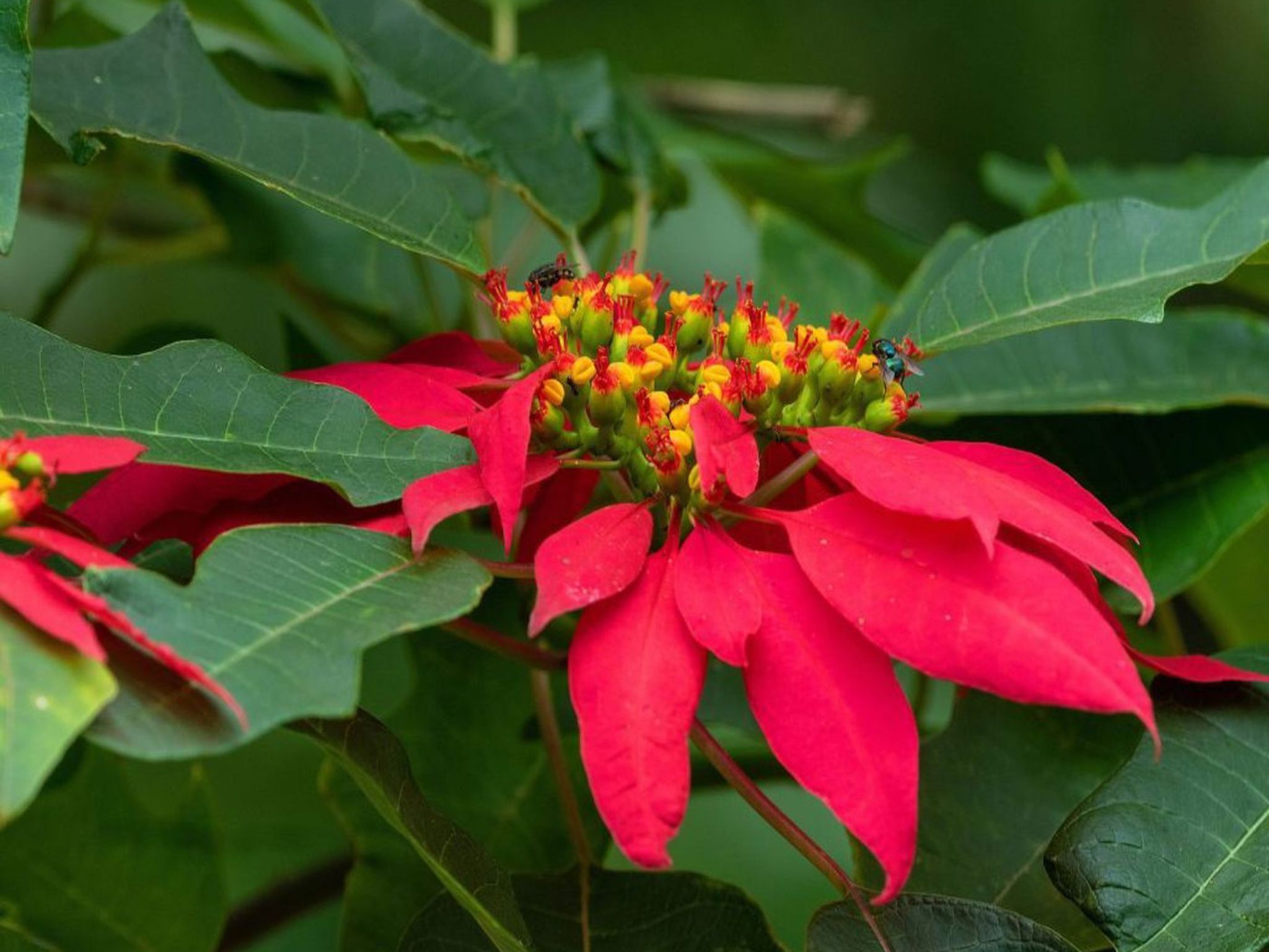 Das Haus der Patin 2-Binnen