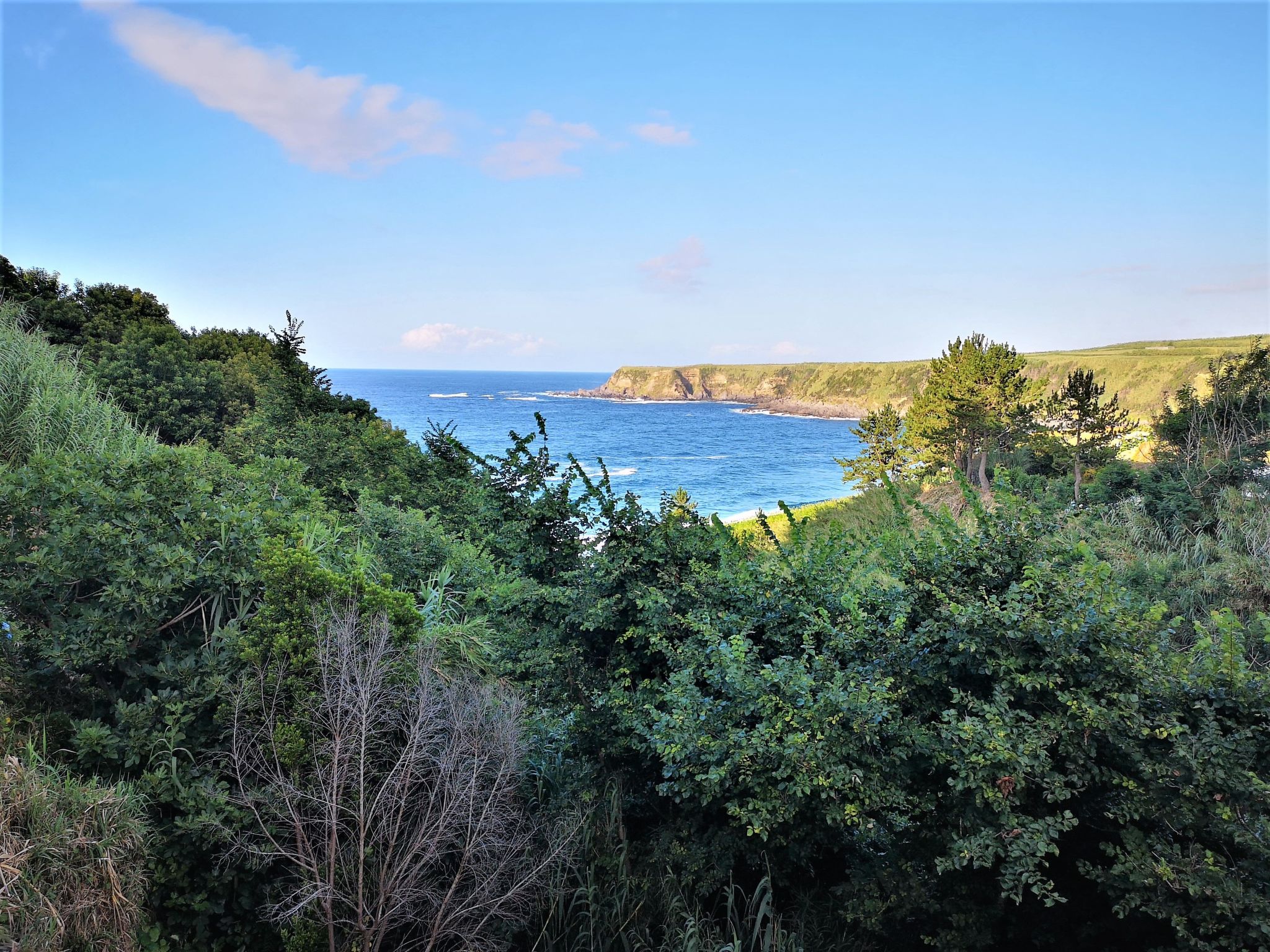 Mit Blick auf das Wasser-Image-tags.info