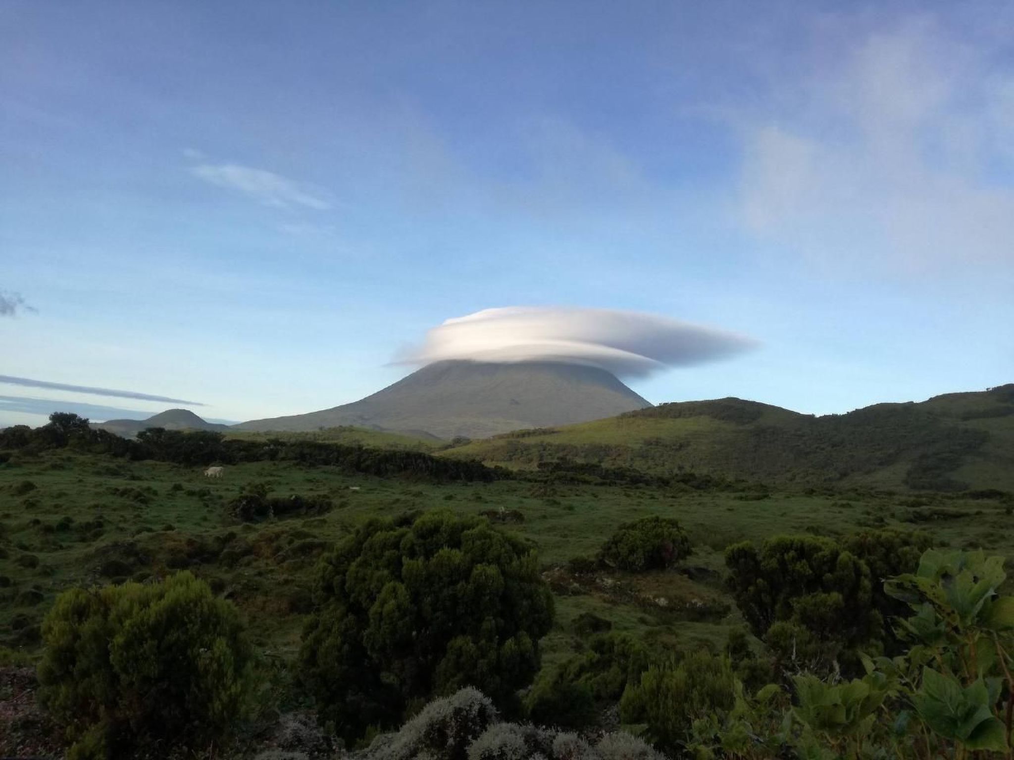 "Vinea Lava" mit Blick auf das Wasser-Binnen