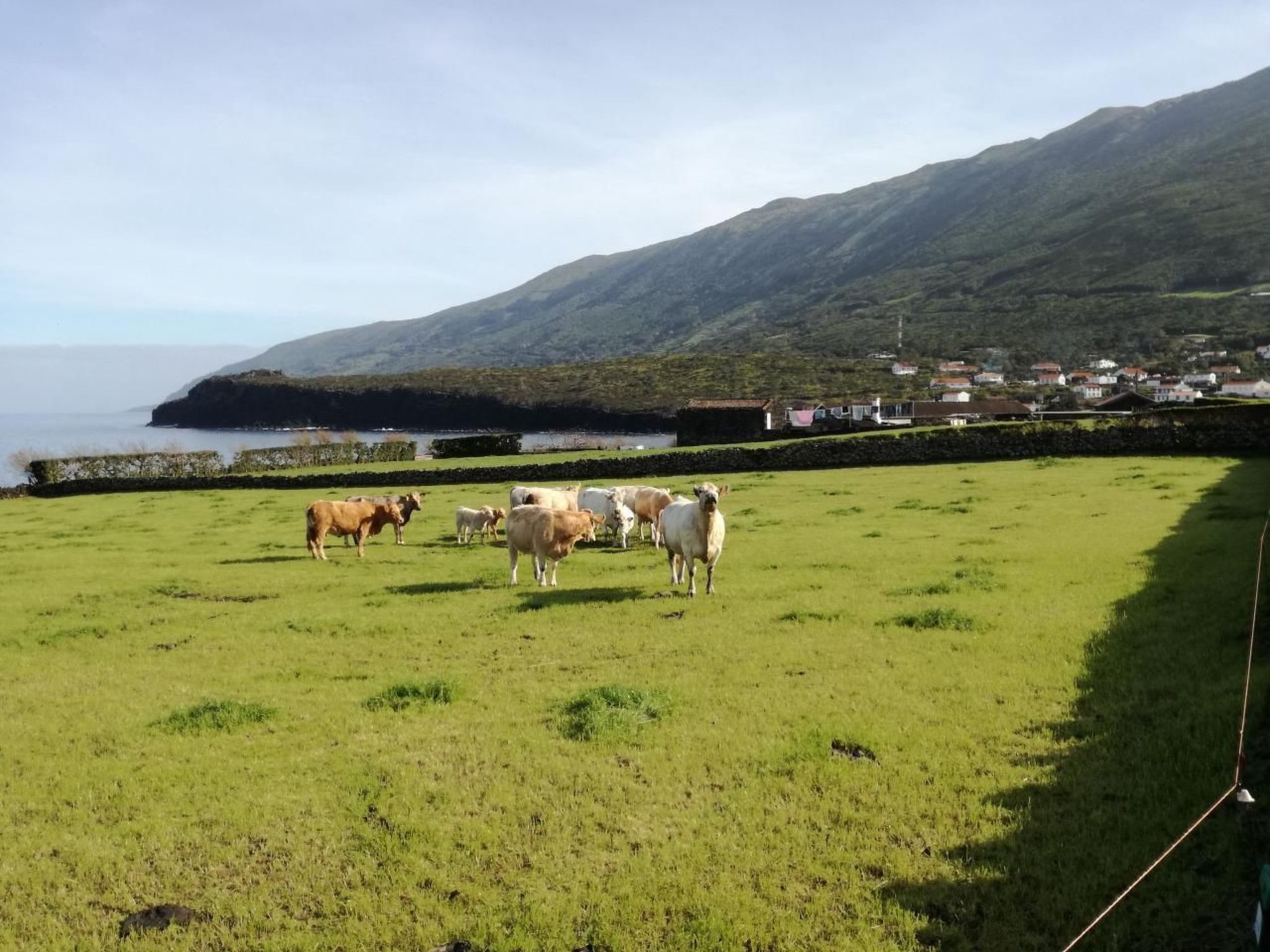 "Vinea Lava" mit Blick auf das Wasser-Binnen