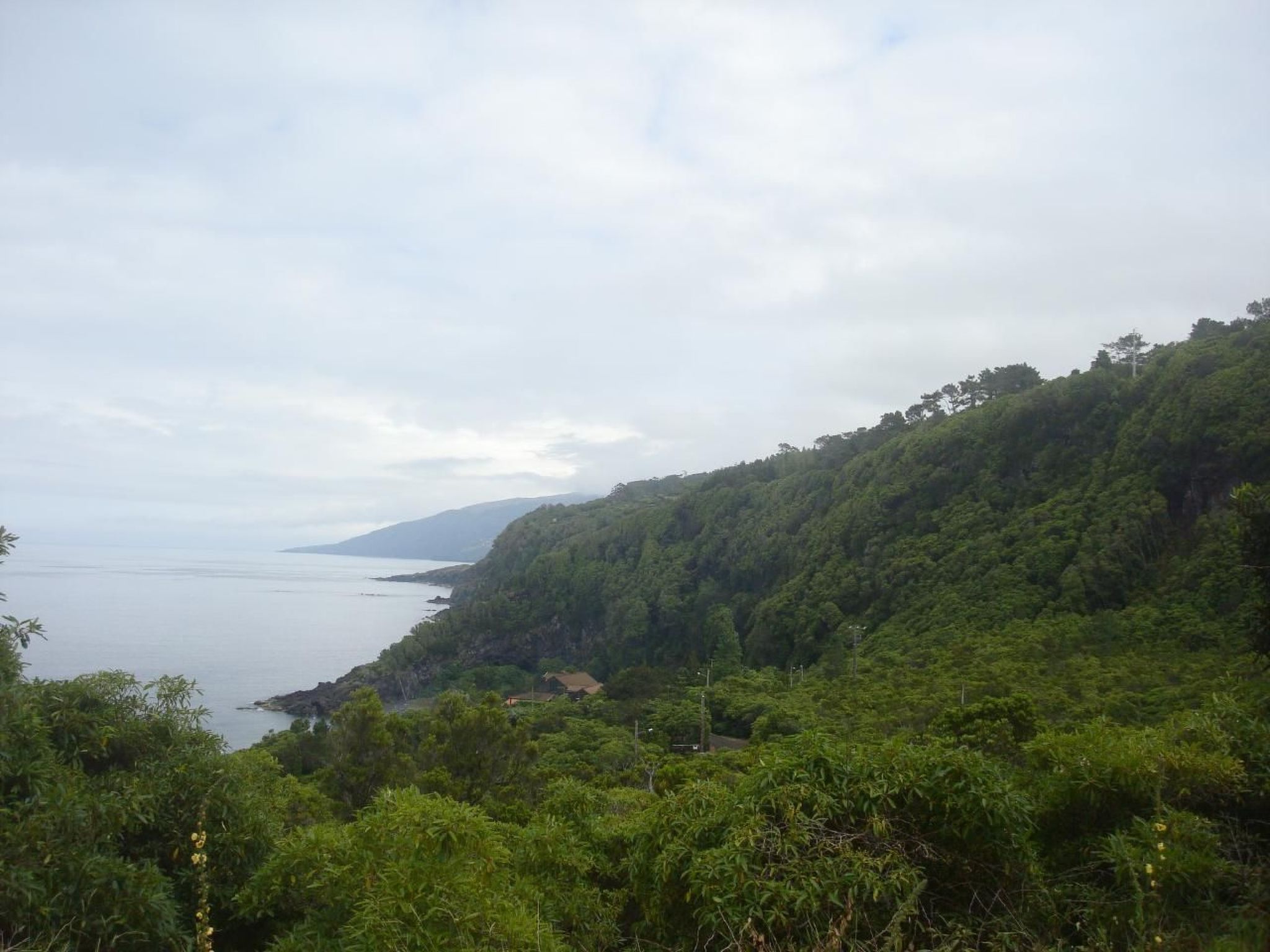 "Vinea Lava" mit Blick auf das Wasser-Binnen