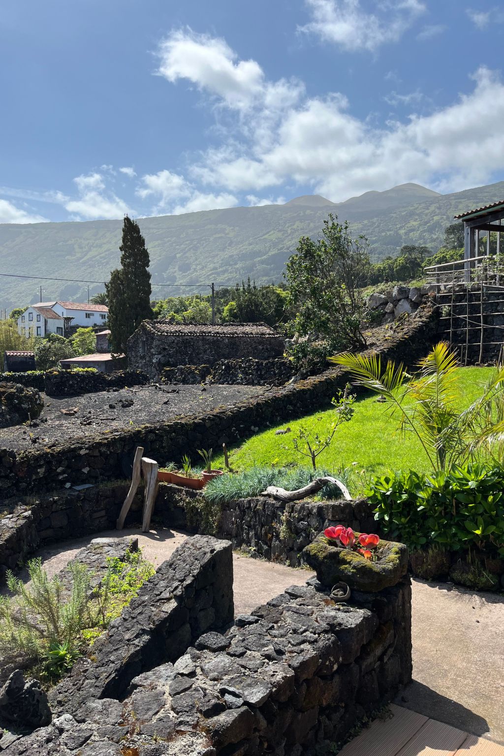 "Vinea Lava" mit Blick auf das Wasser-Binnen