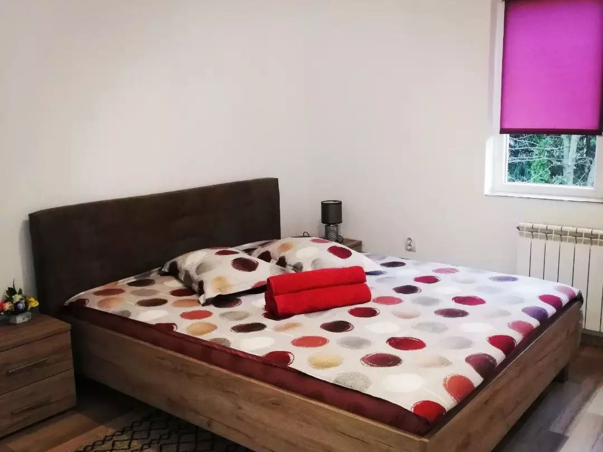 Vila Roberta Breaza Brasov - Image 4