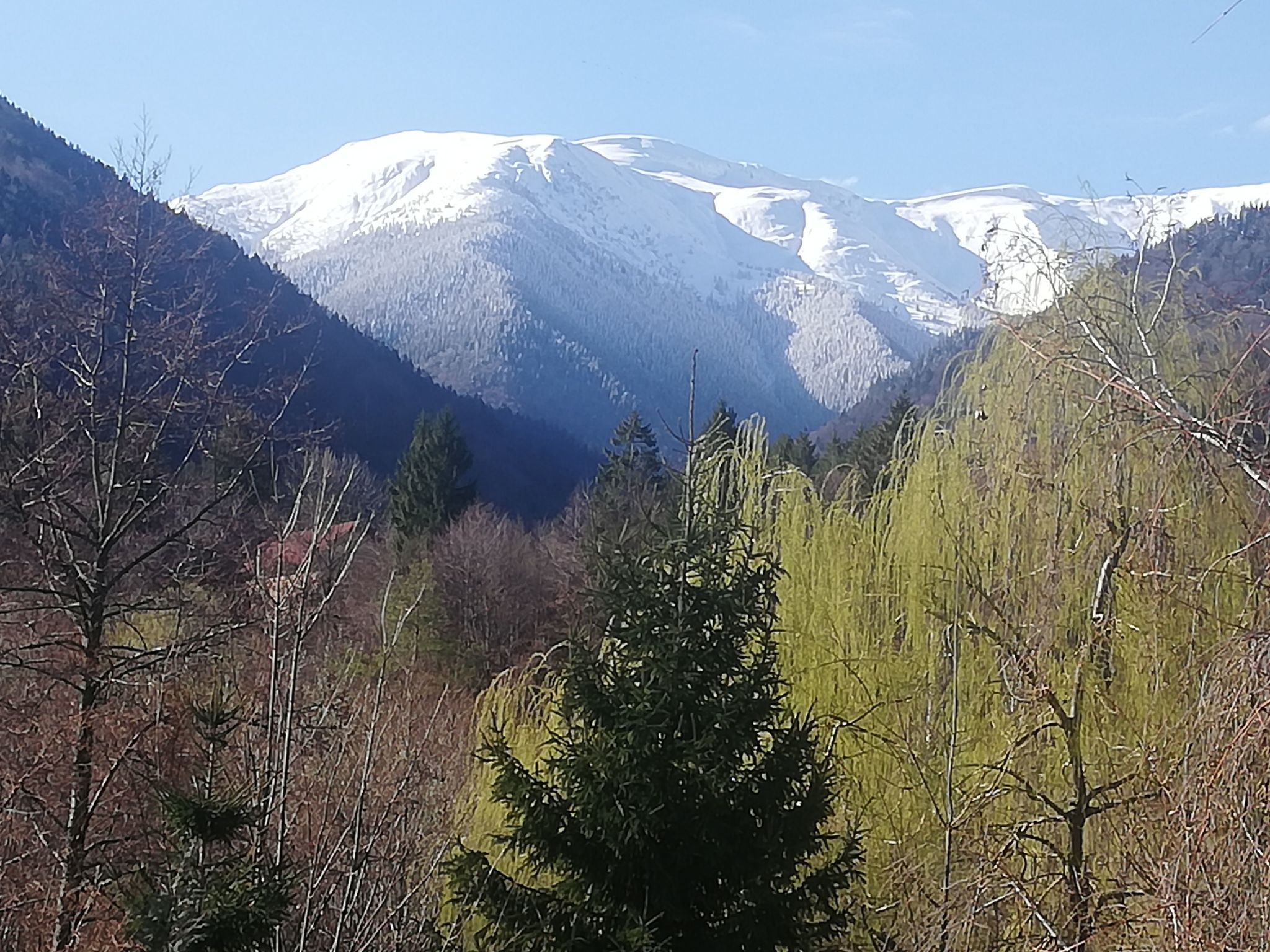 Maison Vila Roberta Breaza Brasov – Vue, photo 11 sur 34