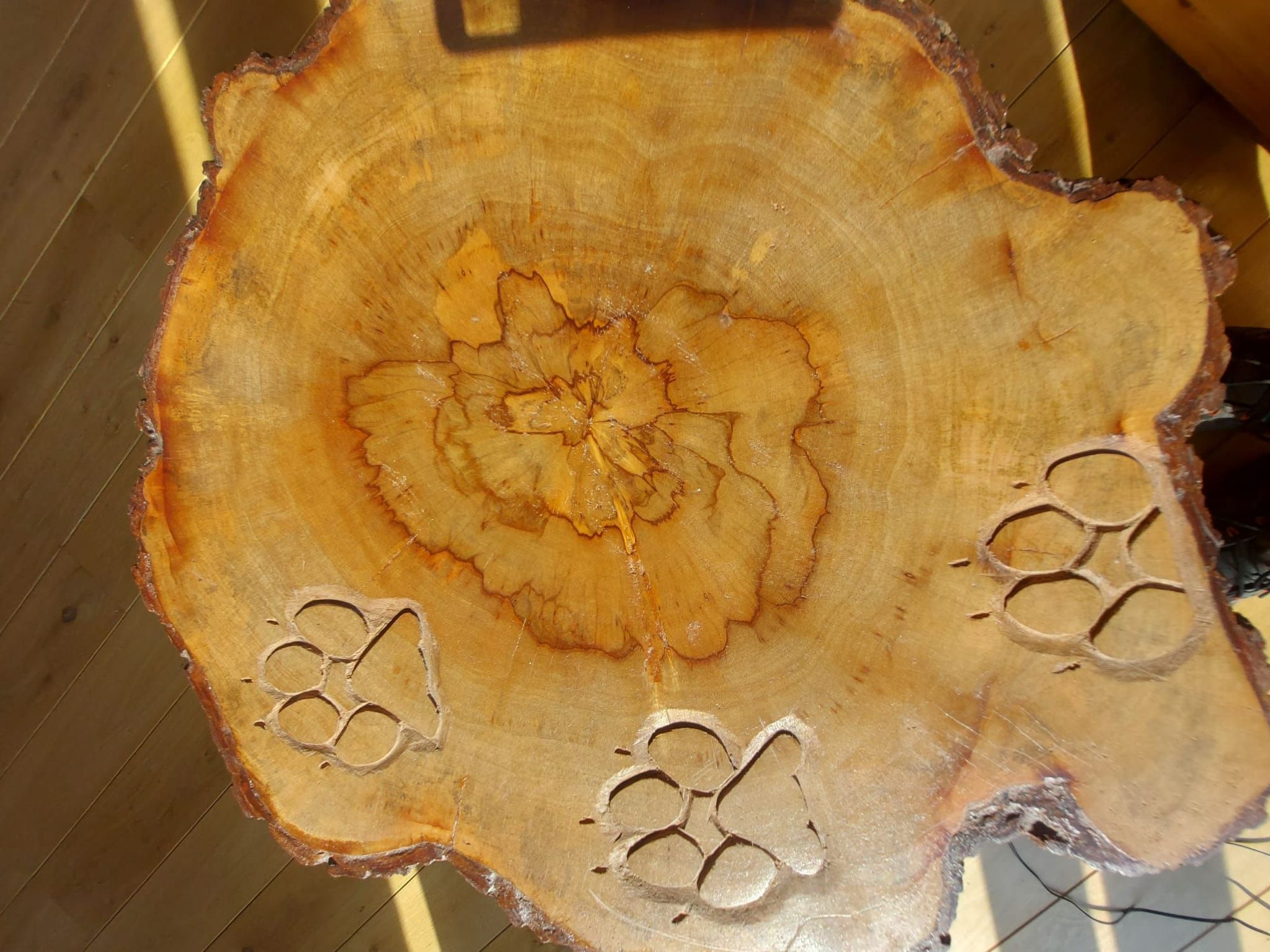 Berghütte "Pumbaa House" mit eigenem 'Pool'-Binnen