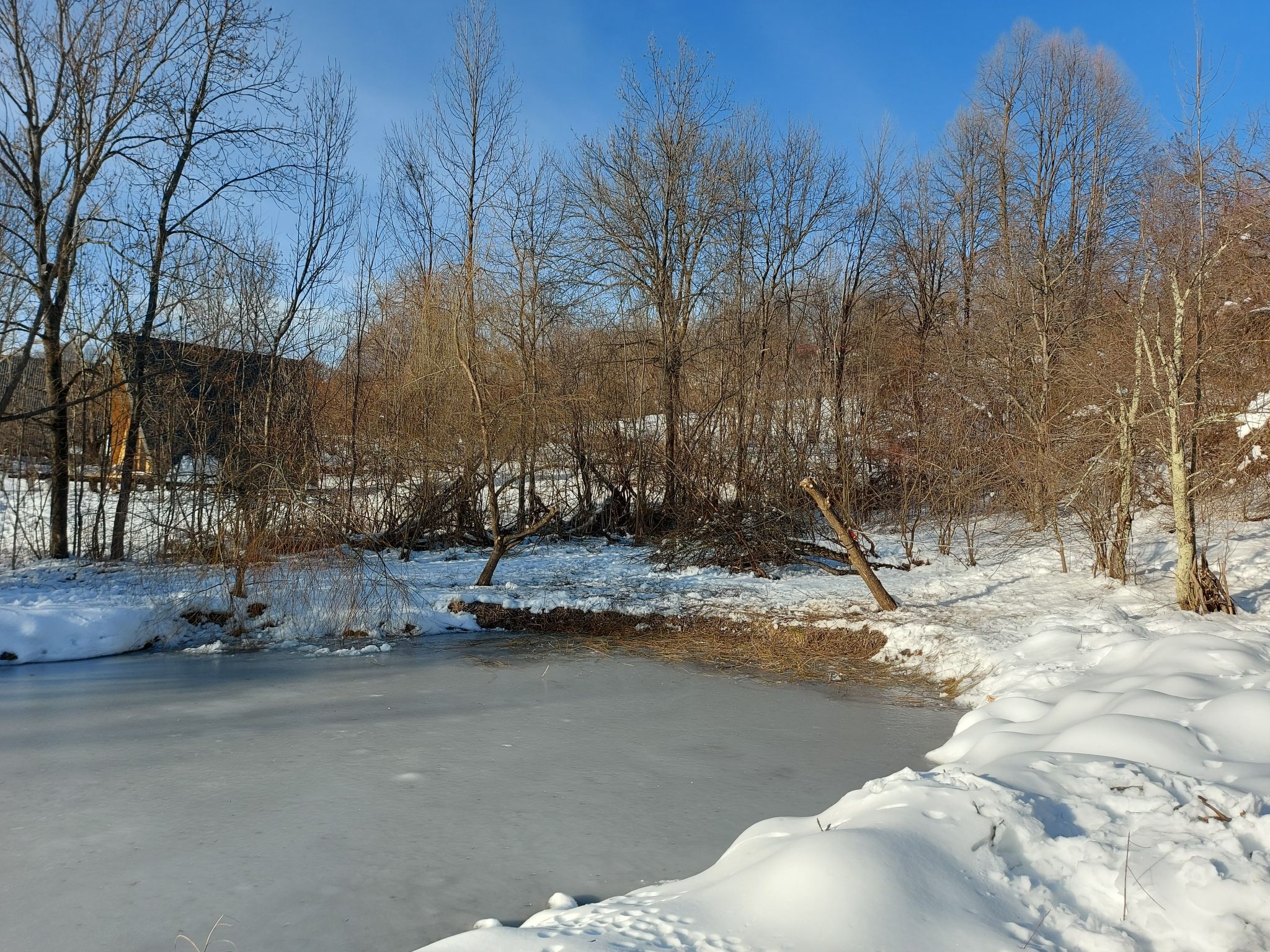 Berghütte "Pumbaa House" mit eigenem 'Pool'-Binnen