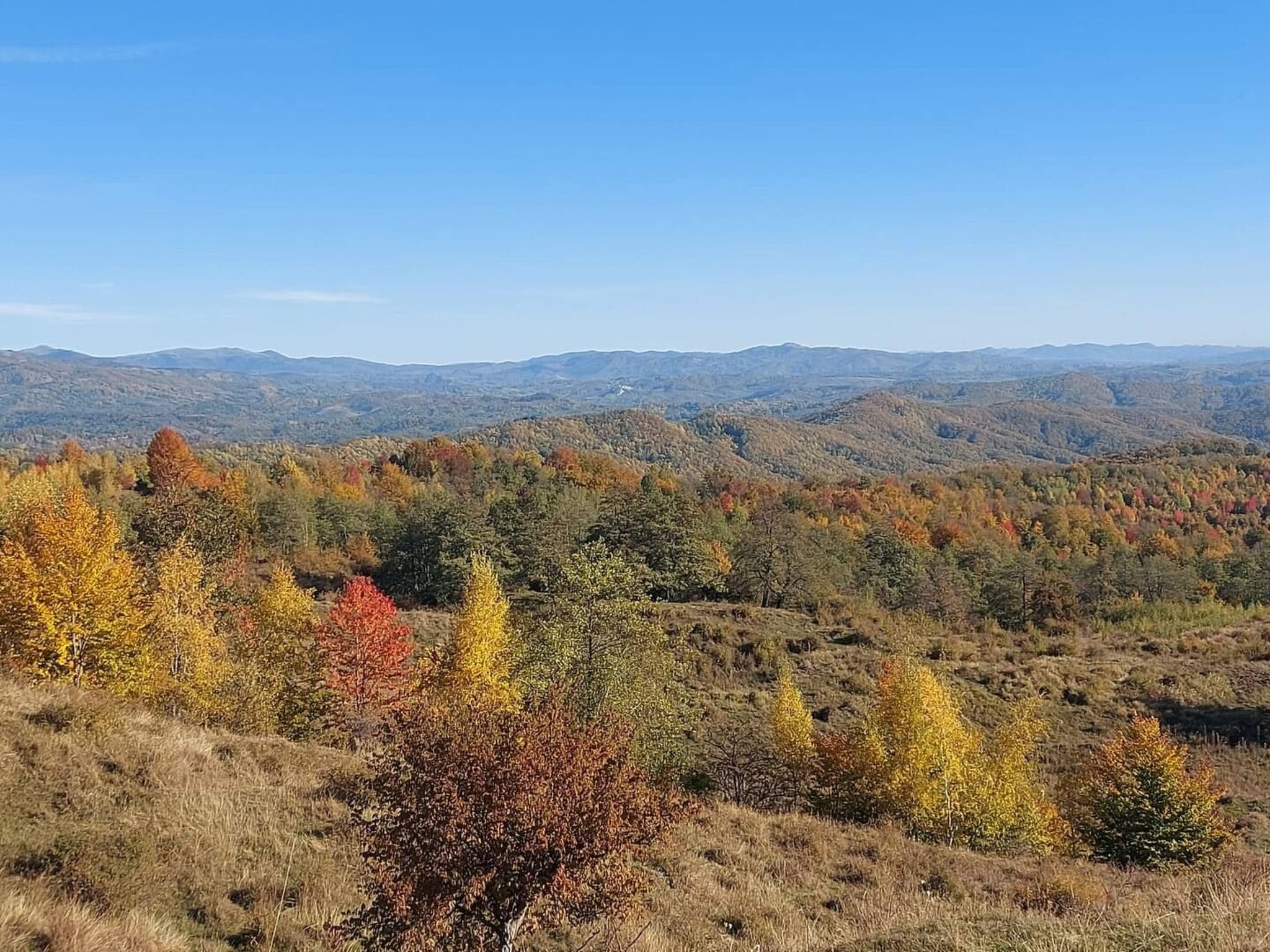 Berghütte "Pumbaa House" mit eigenem 'Pool'