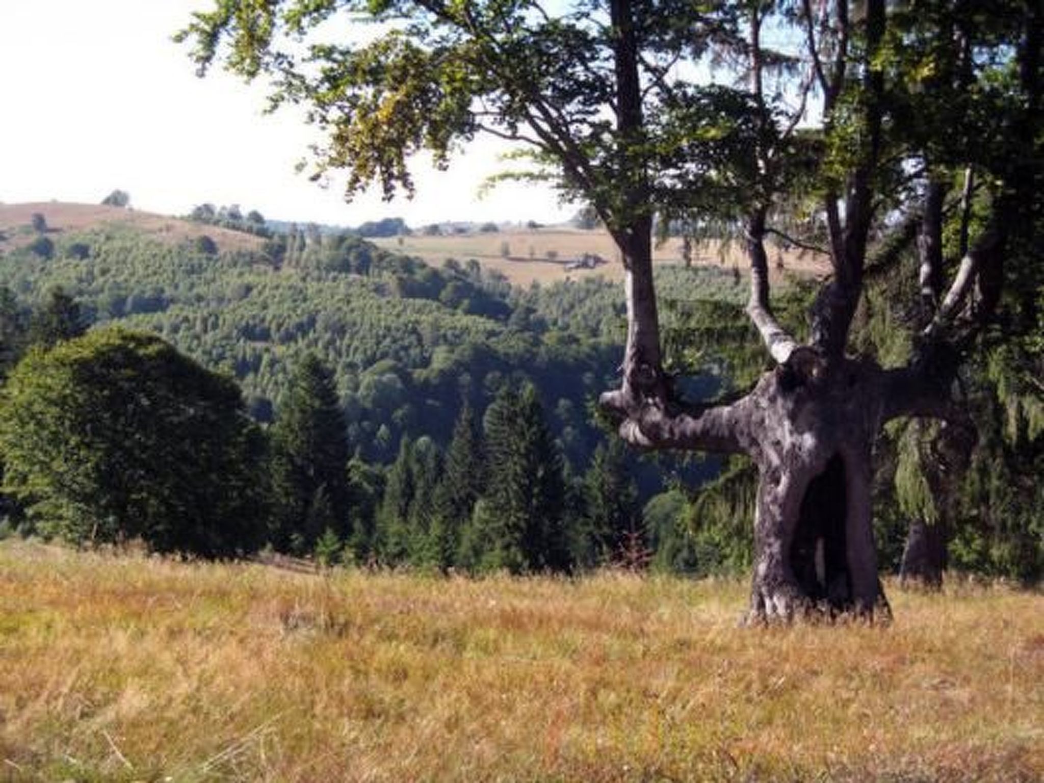 Casa Crina in Karpaten-Dorf in Siebenbürgen-Image-tags.info