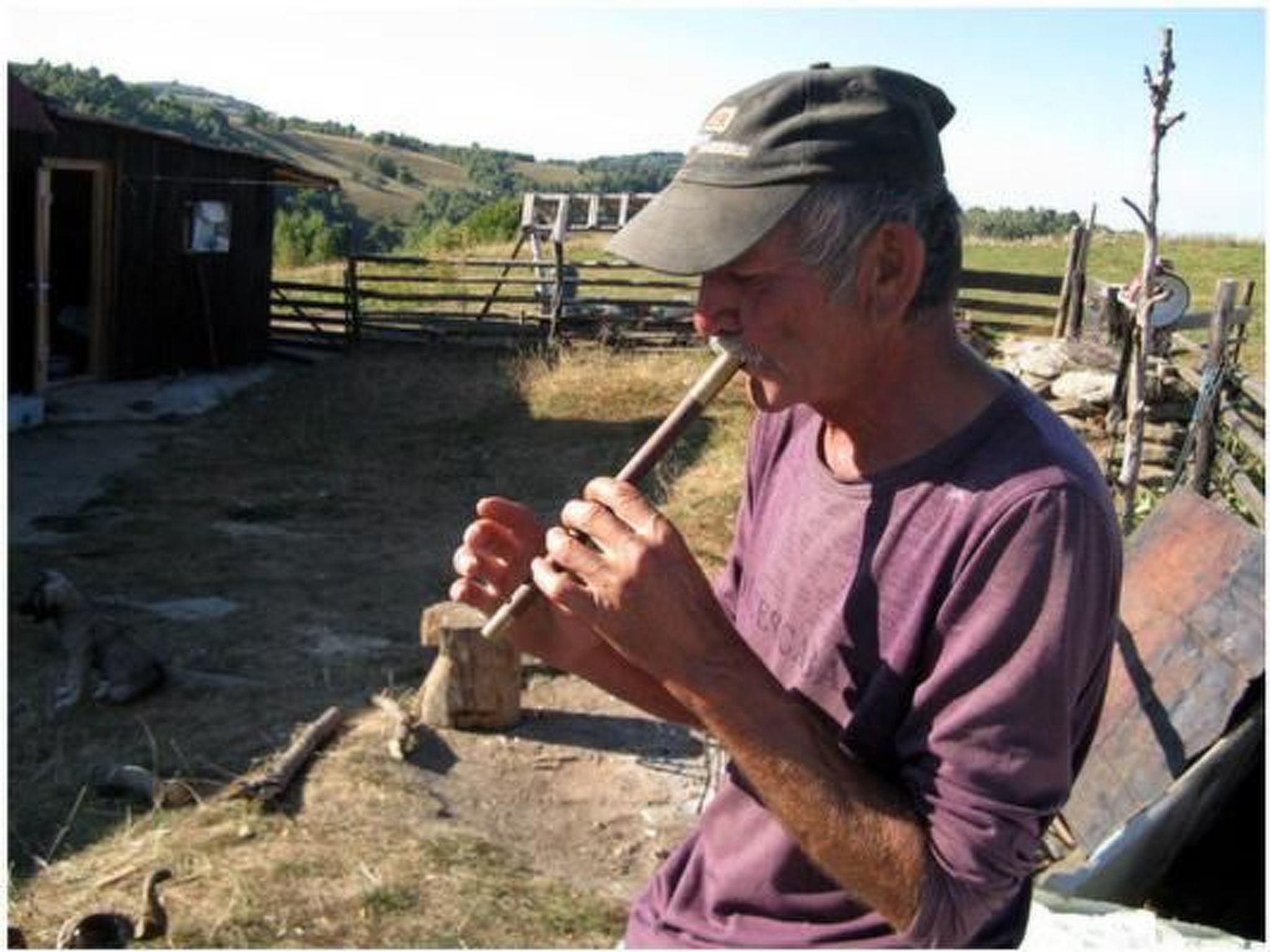 Casa Crina in Karpaten-Dorf in Siebenbürgen-Image-tags.info