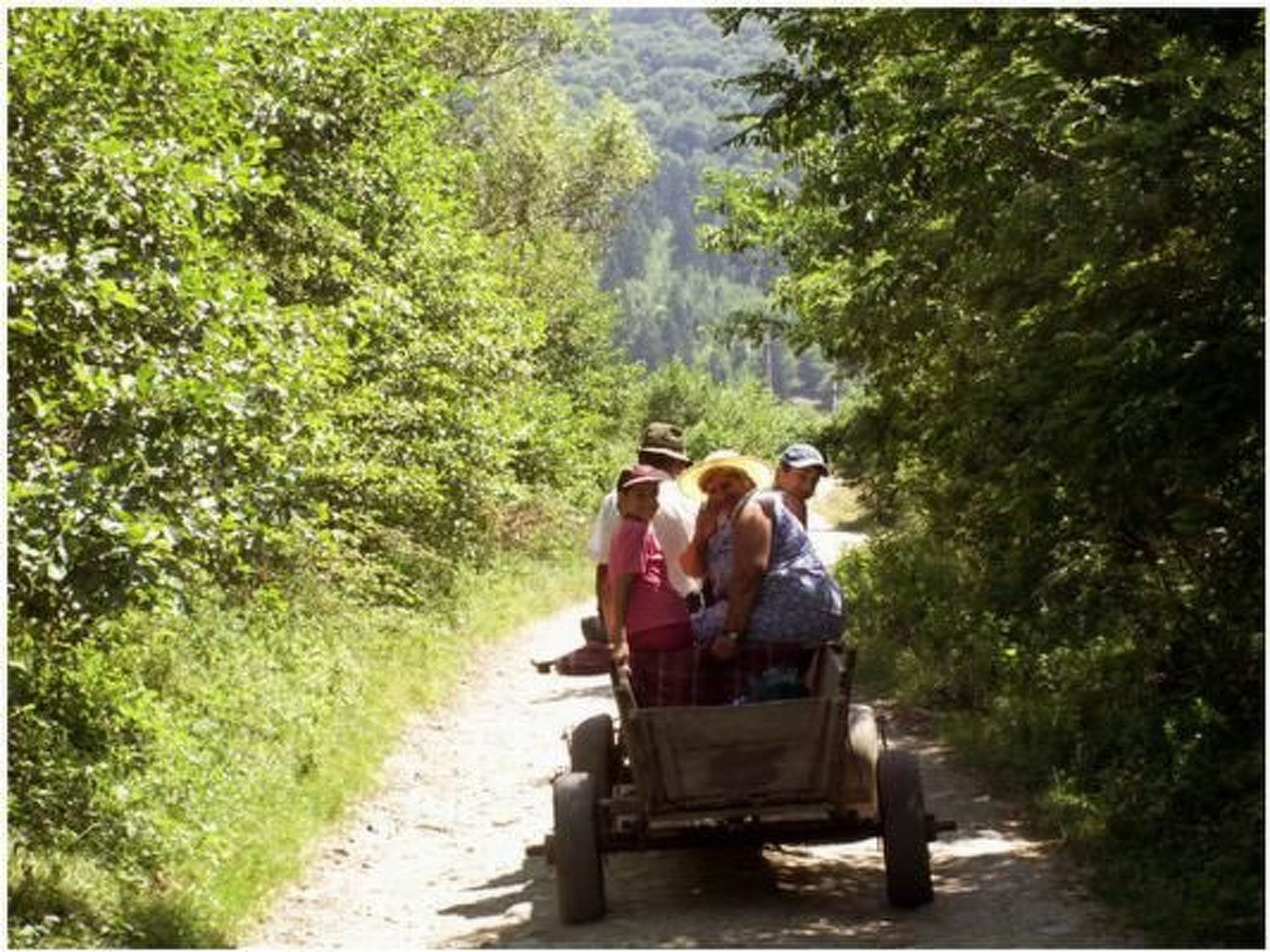 Casa Crina in Karpaten-Dorf in Siebenbürgen-Image-tags.info