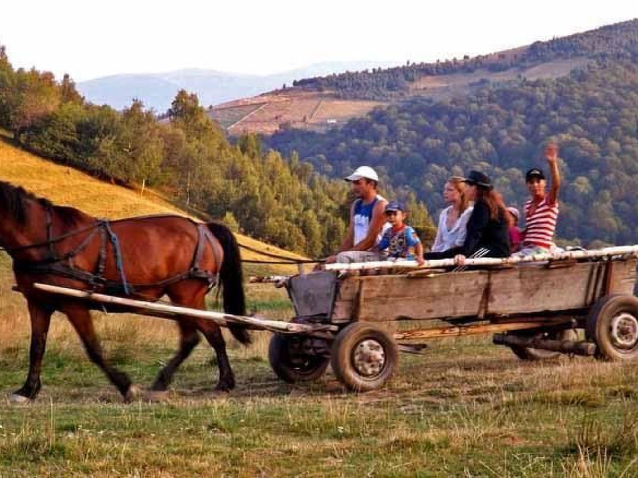In Sibiel mit Terrasse und Grill