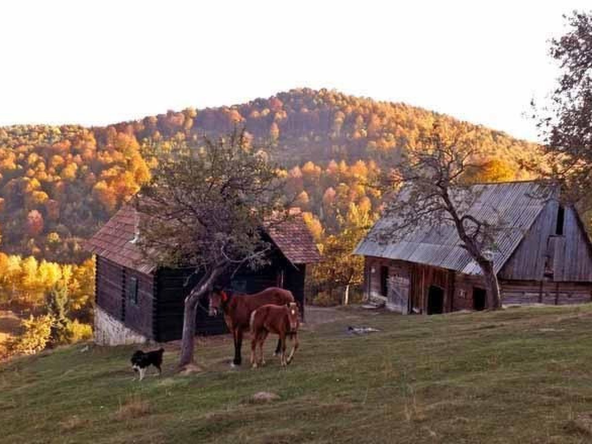 In Sibiel mit Terrasse und Grill