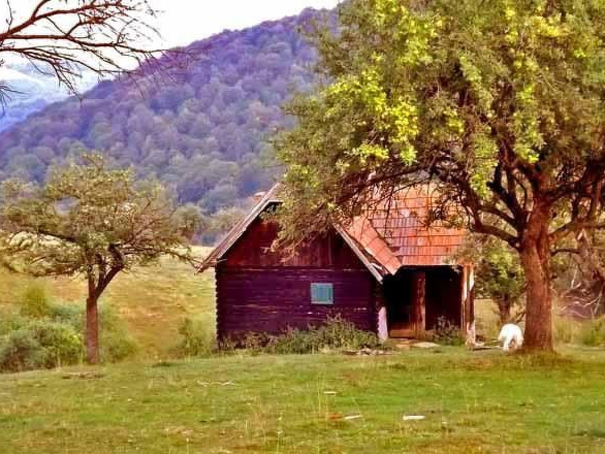 In Sibiel mit Terrasse und Grill-Image-tags.info