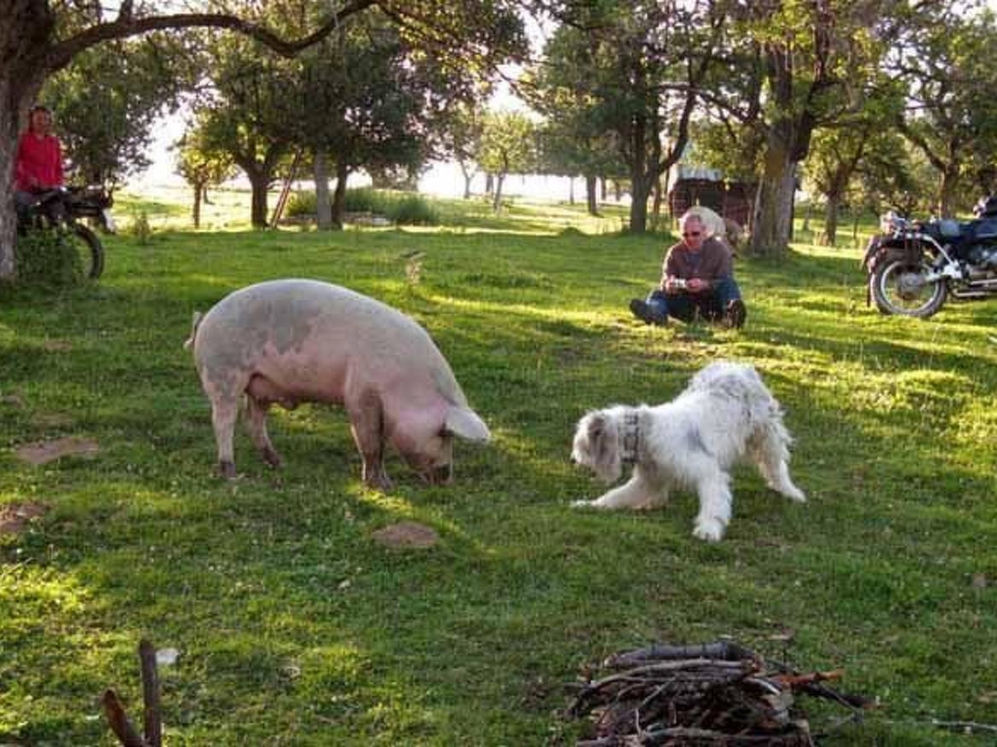 In Sibiel mit Terrasse und Grill-Image-tags.info