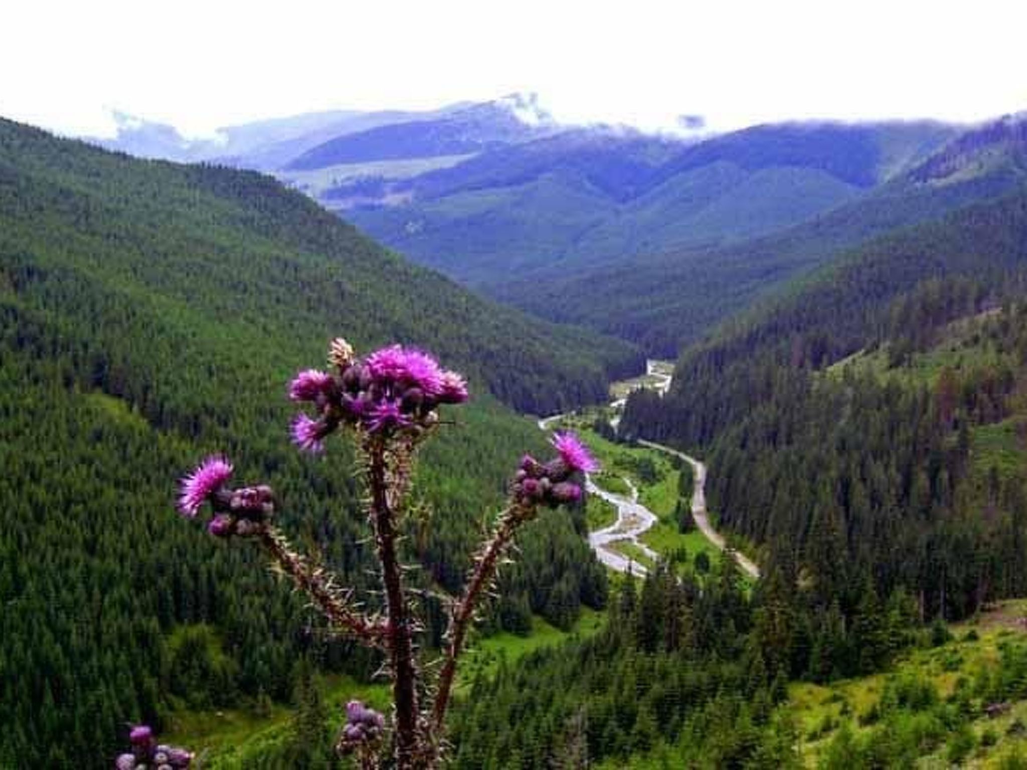 In Sibiel mit Terrasse und Grill-Buiten