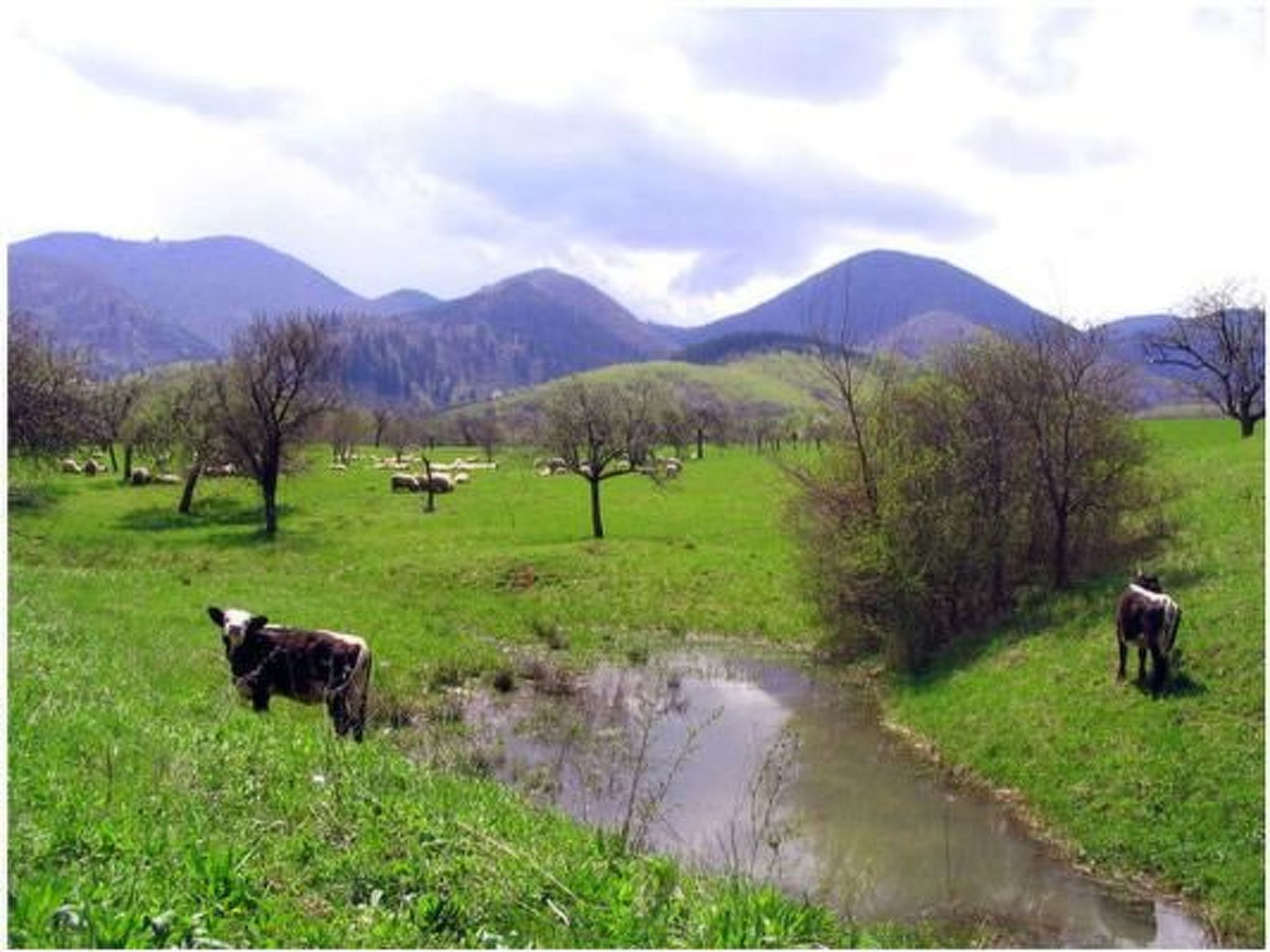 Casa Nicu - Blockhaus im Flair vergangener Zeiten-Image-tags.info