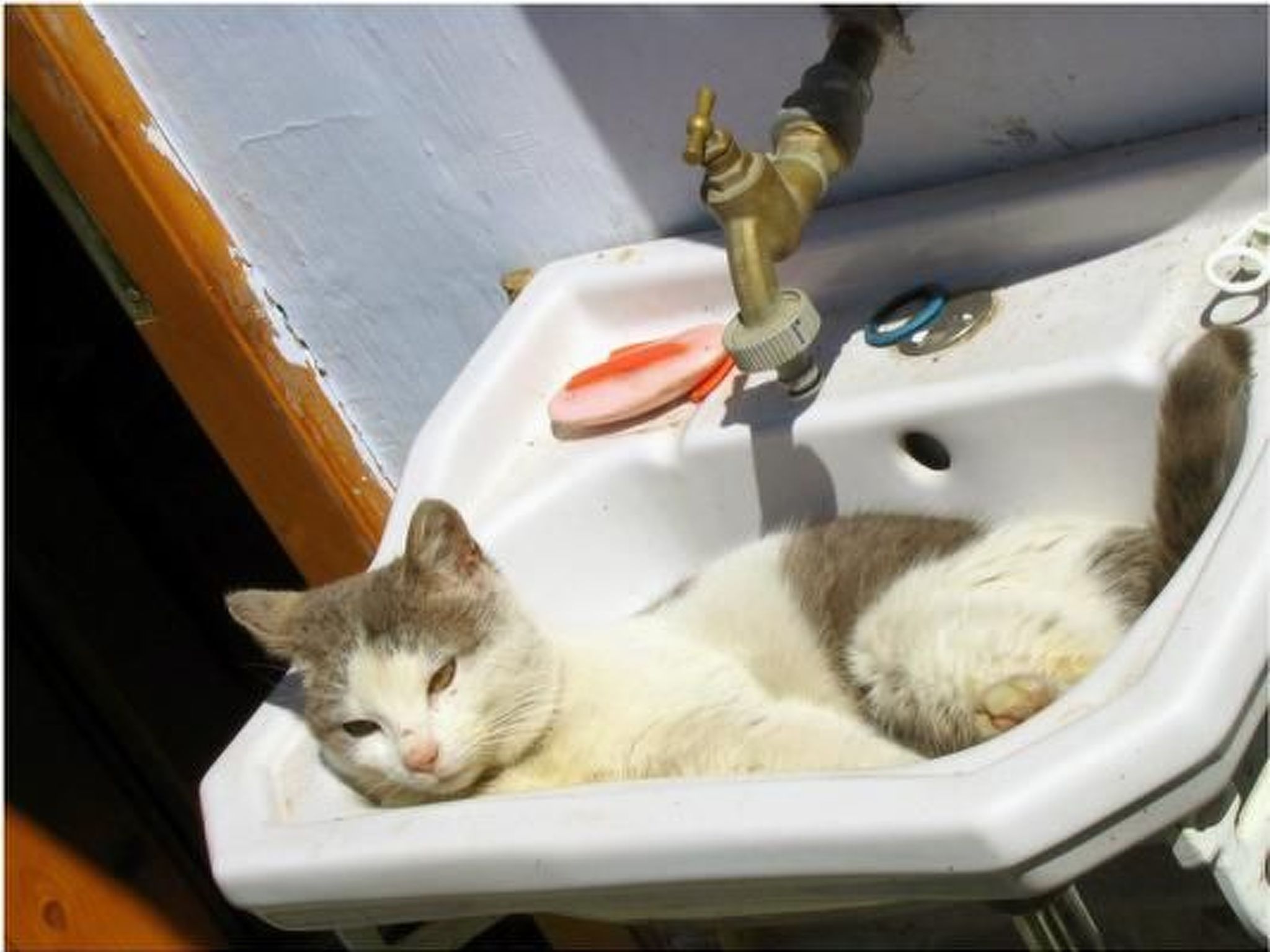 Casa Nicu - Blockhaus im Flair vergangener Zeiten-Image-tags.info